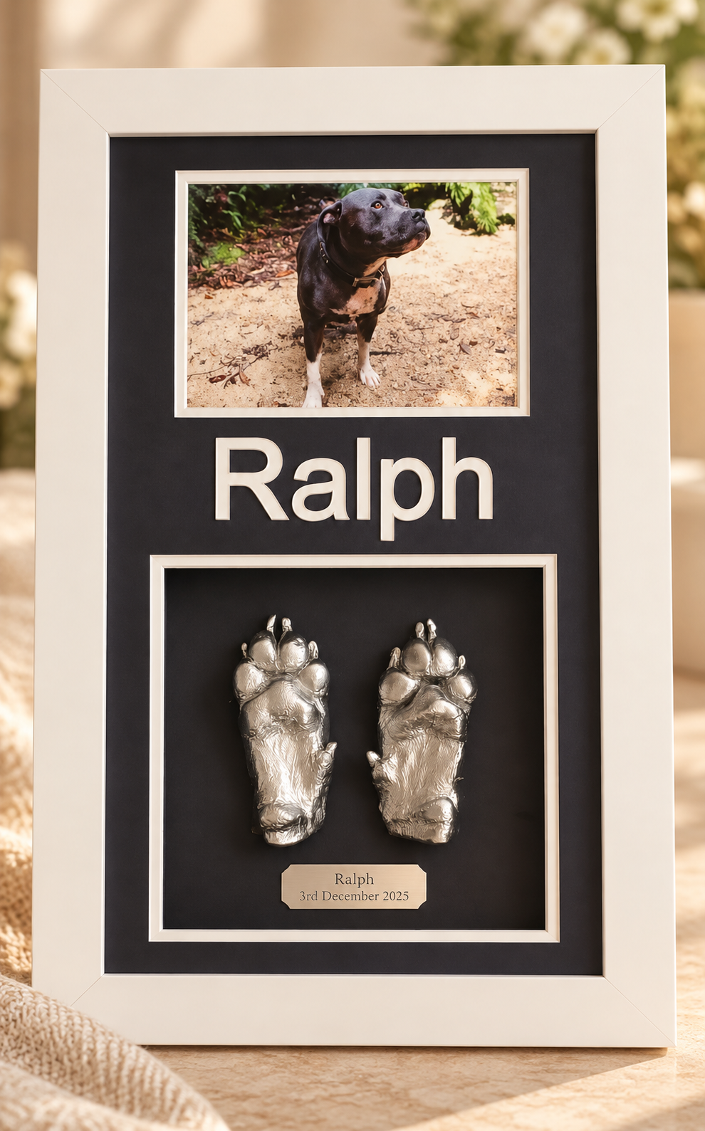 Pet Cast in Frame with Photo