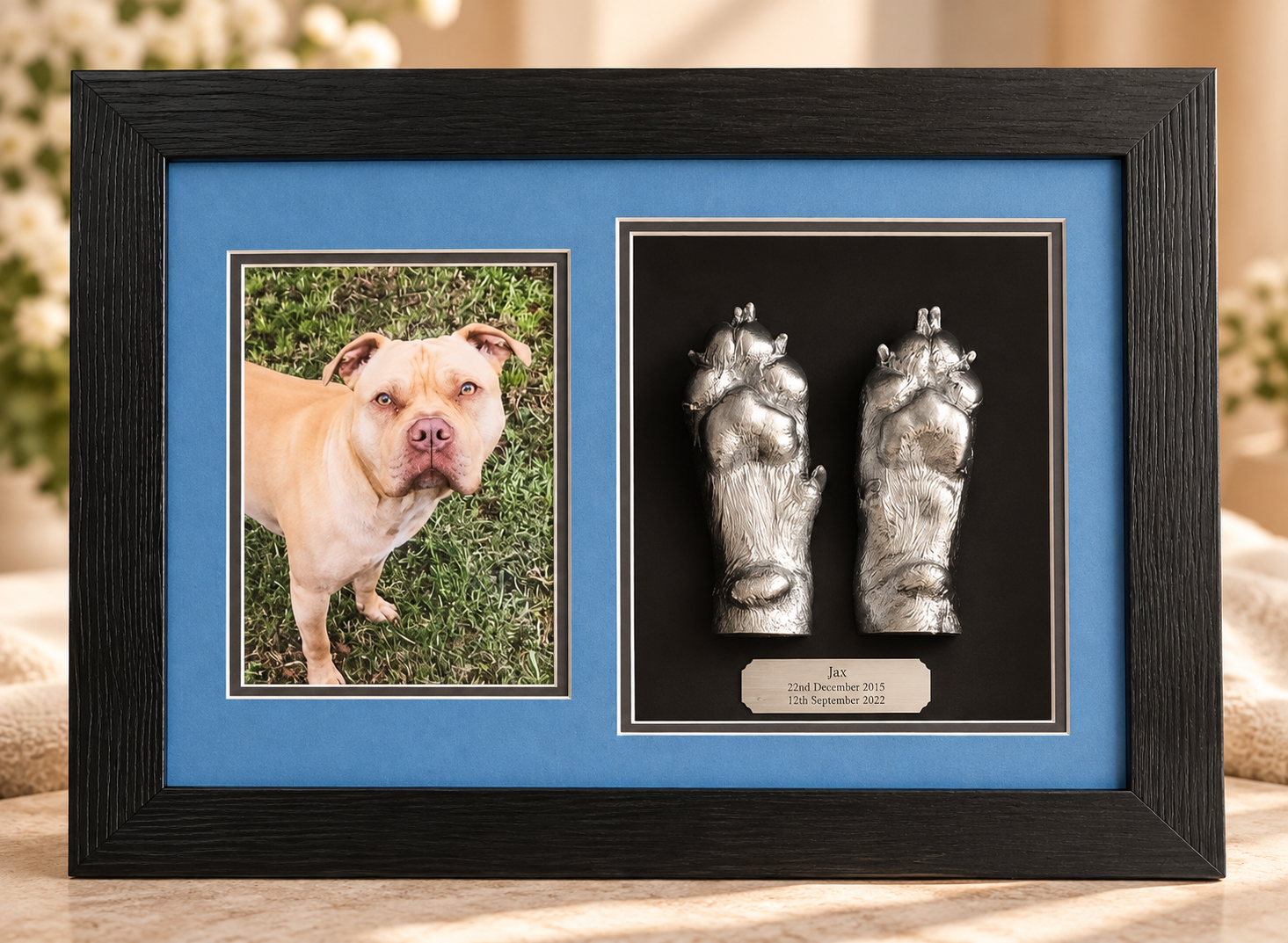 Pet Photo and Cast in a frame