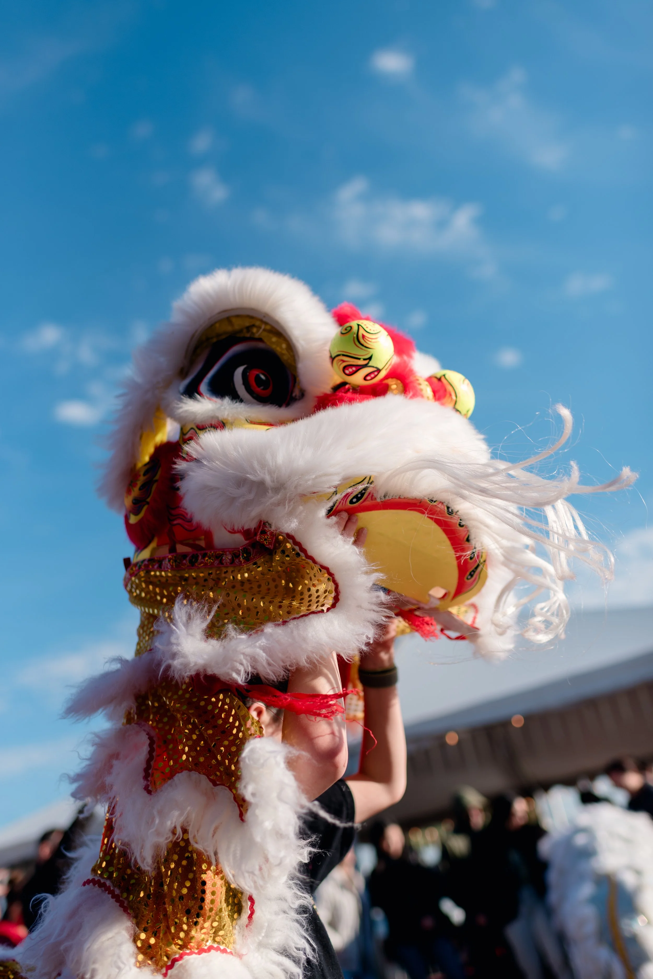 Hudson Valley Lion Dancers