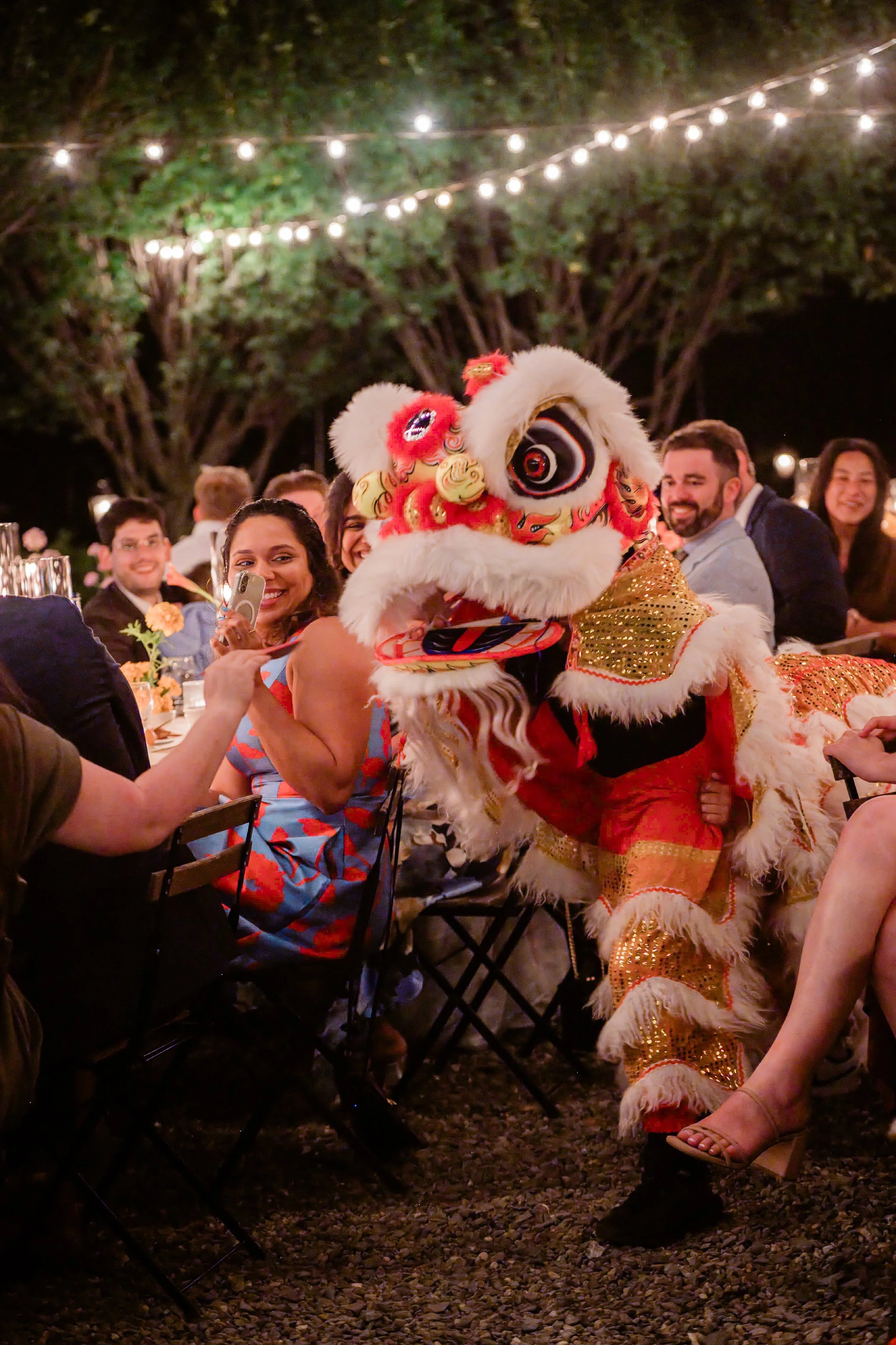 Hudson Valley Lion Dancers