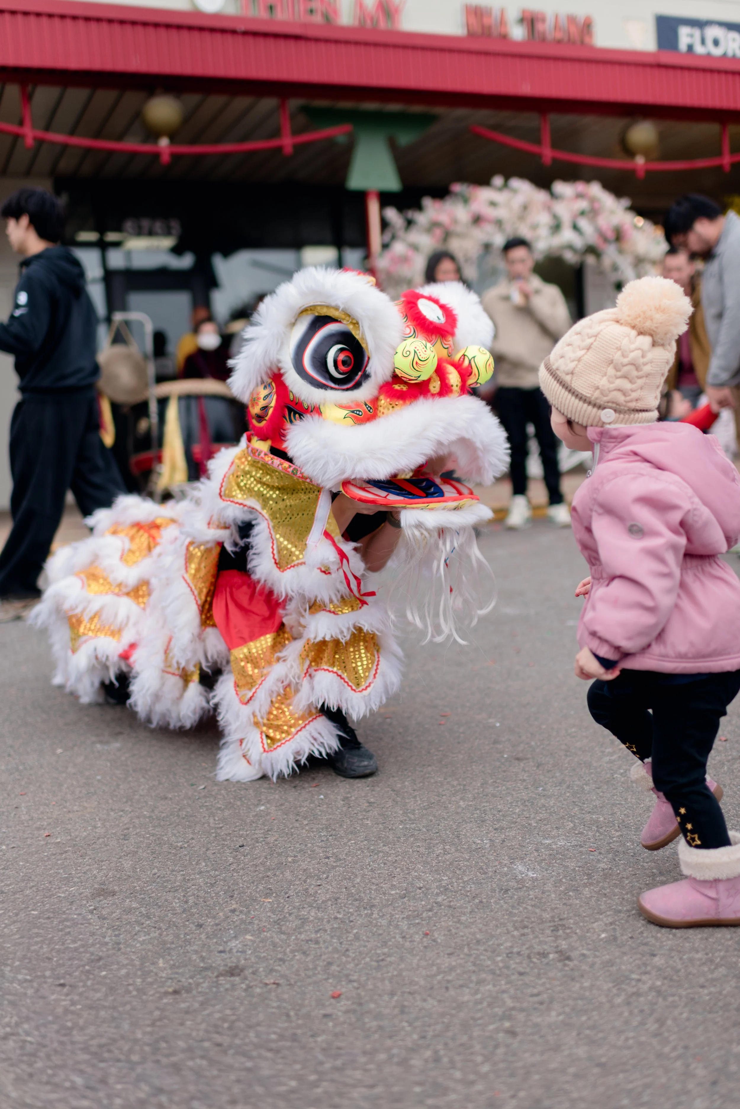 Hudson Valley Lion Dancers