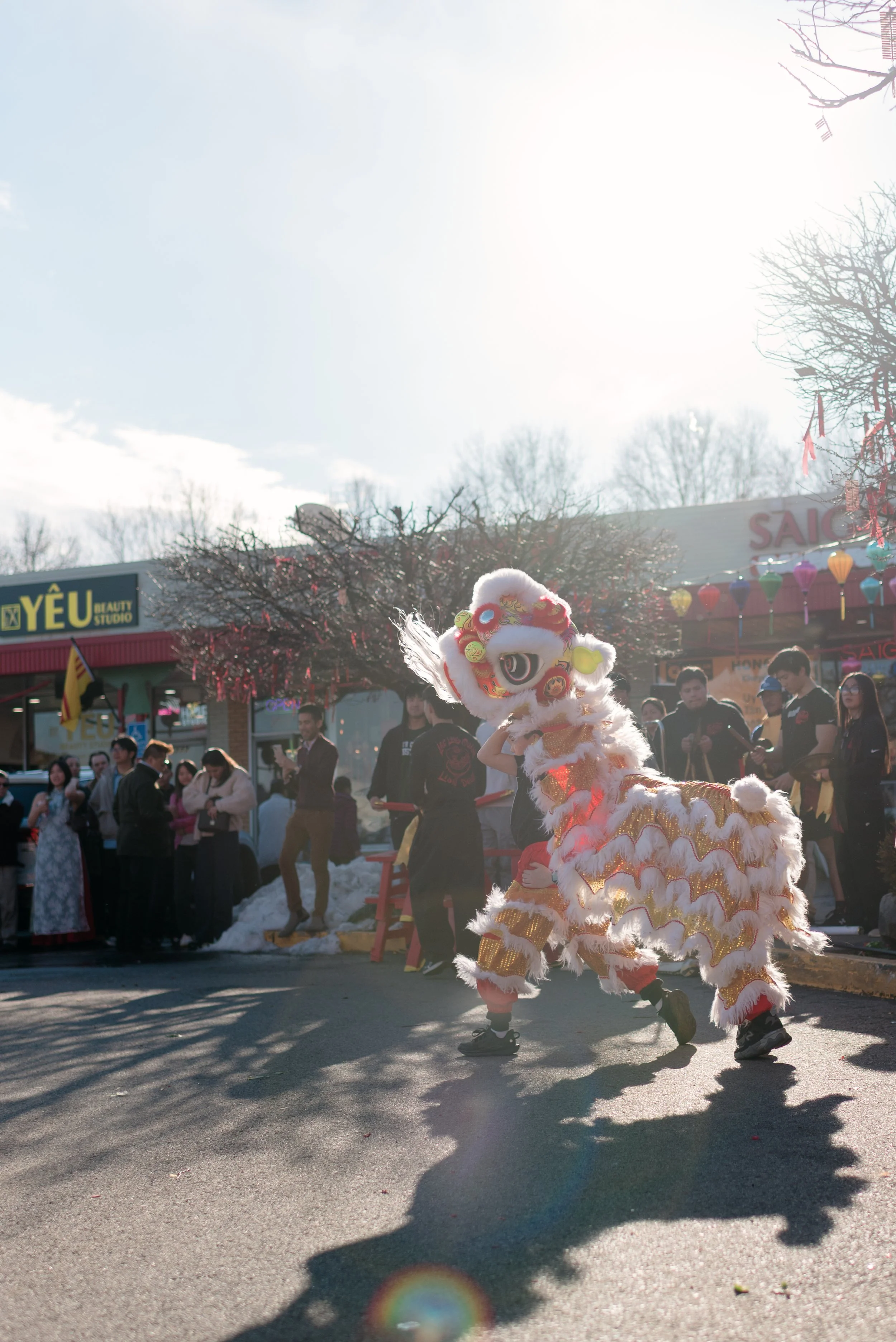Kid Lion dancers in Albany