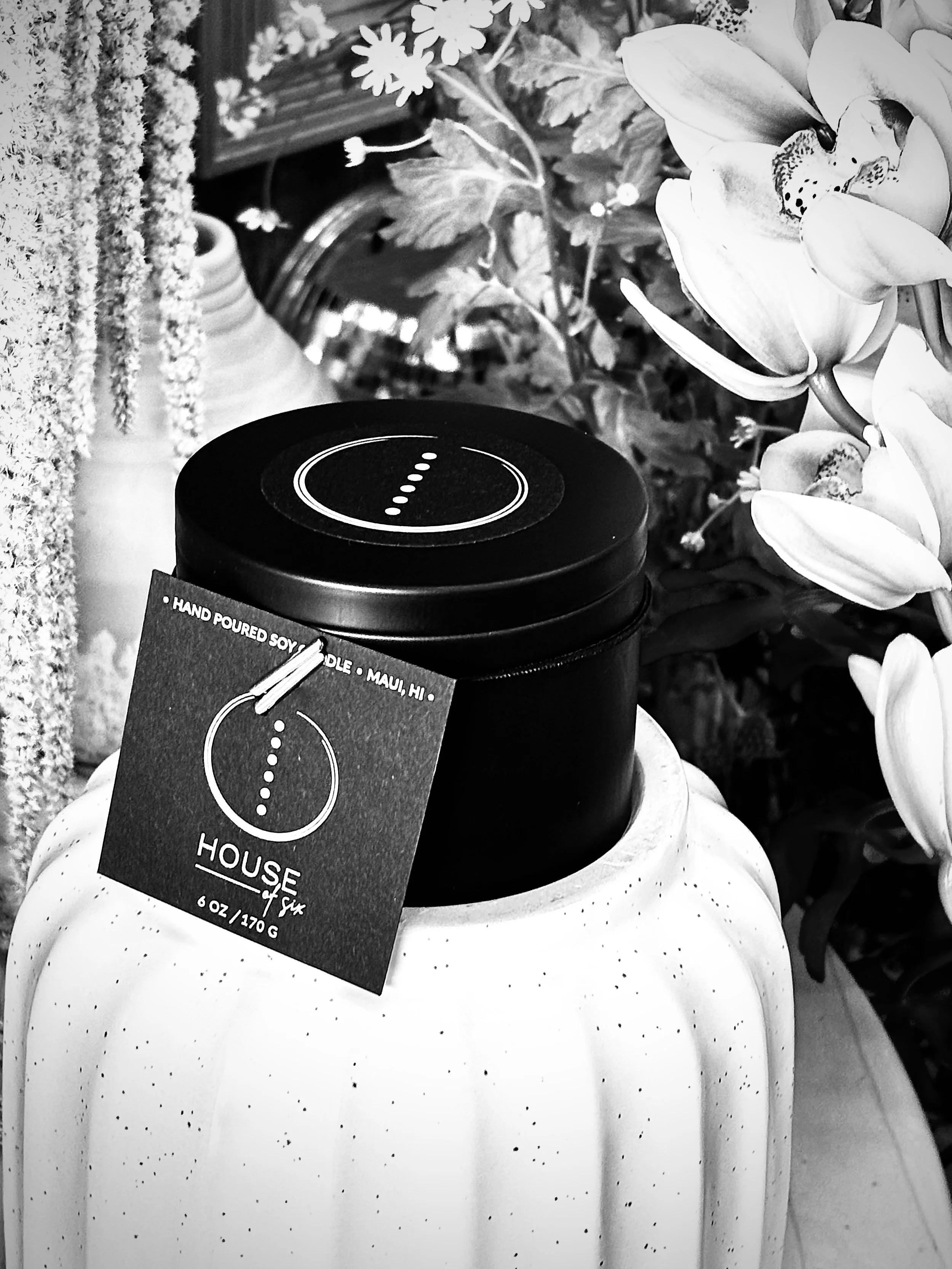 House of Six Maui Soy Candles