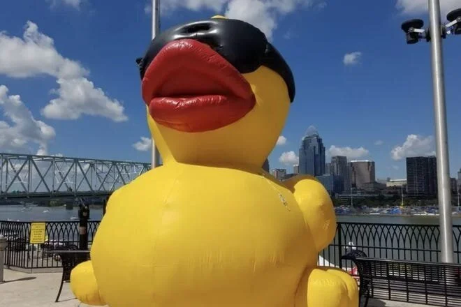 Just Ducky