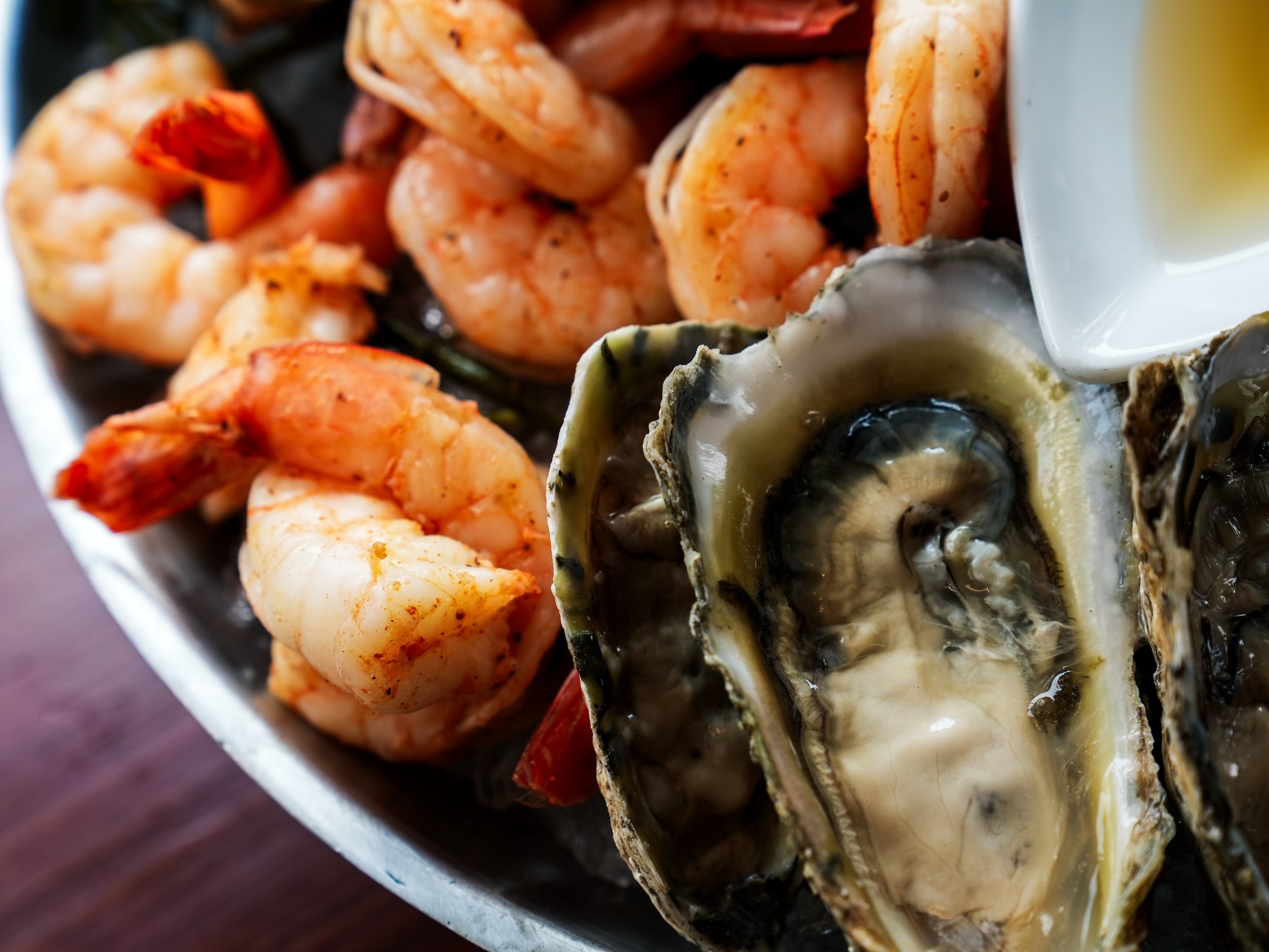 CouncilOak_24_0080.JPG