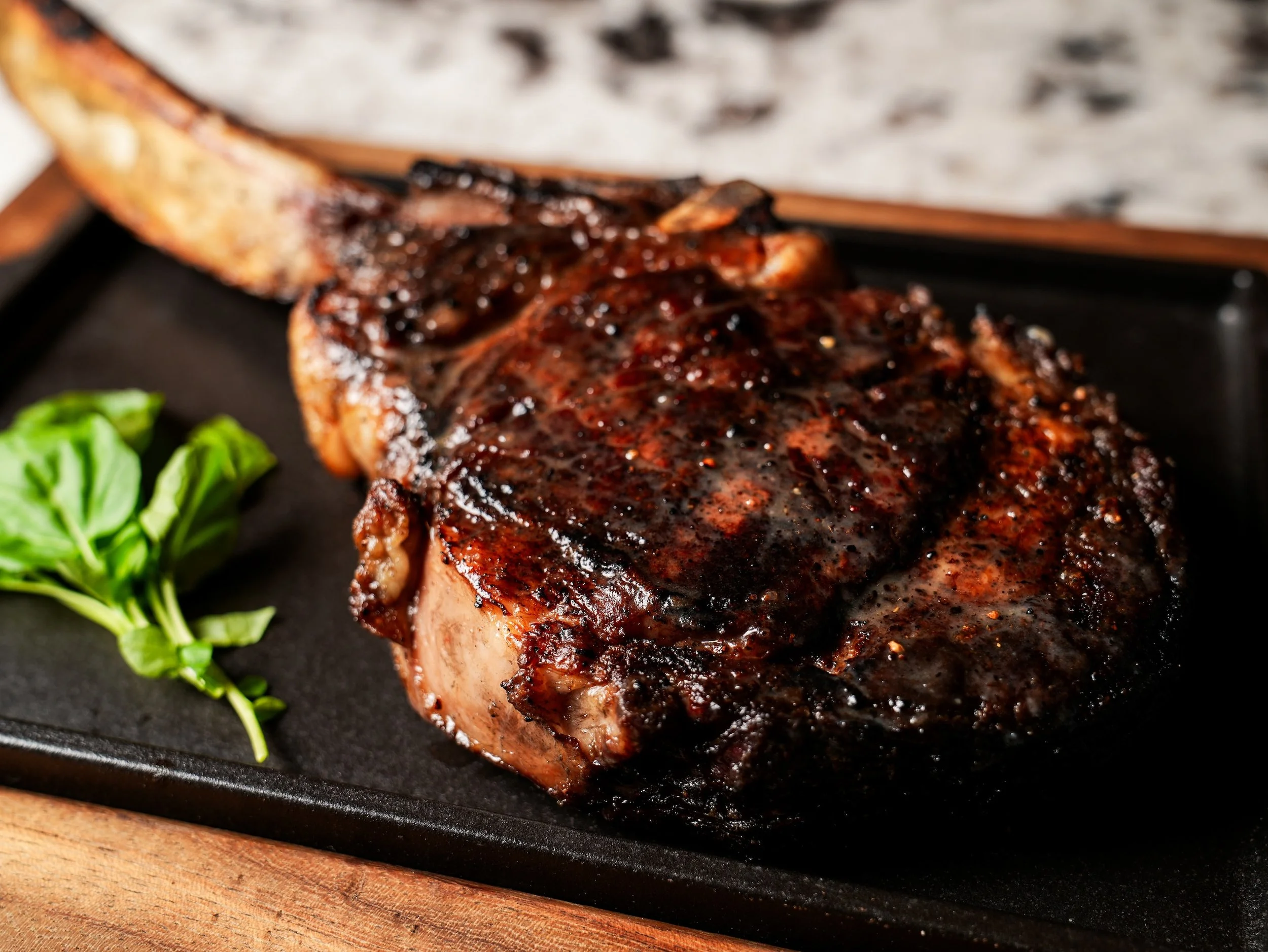 CouncilOak_24_0160.JPG