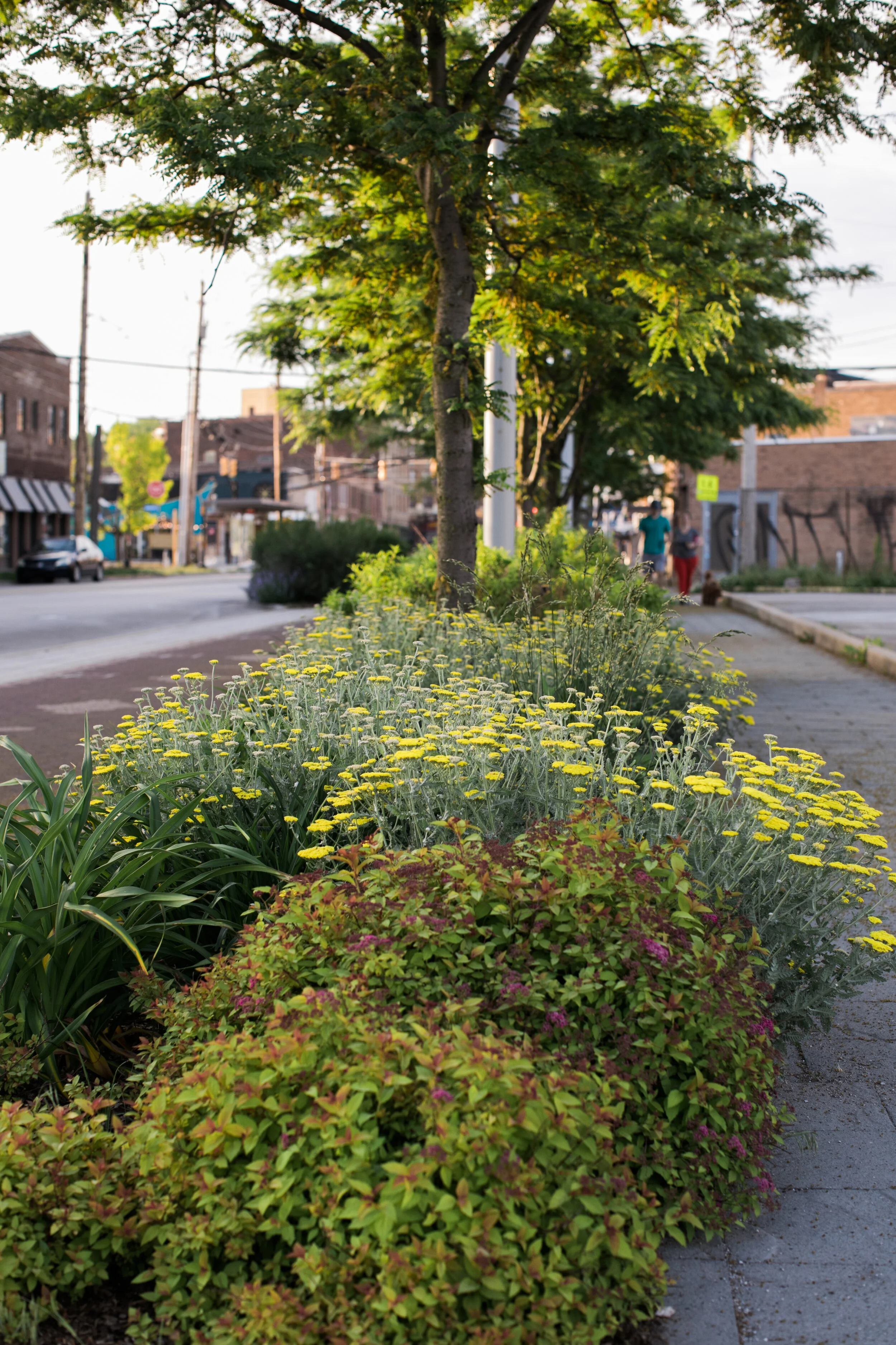 Above and cover photos courtesy Indianapolis Cultural Trail Inc.