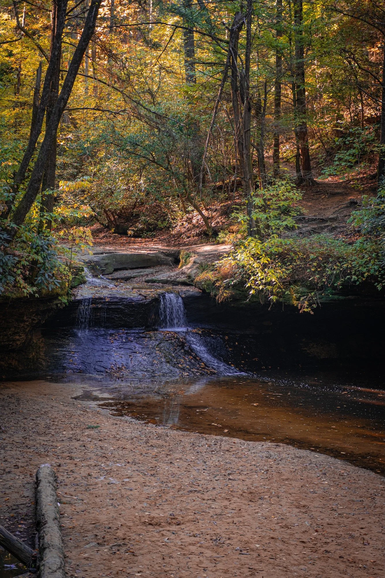 DSC_6452.jpg