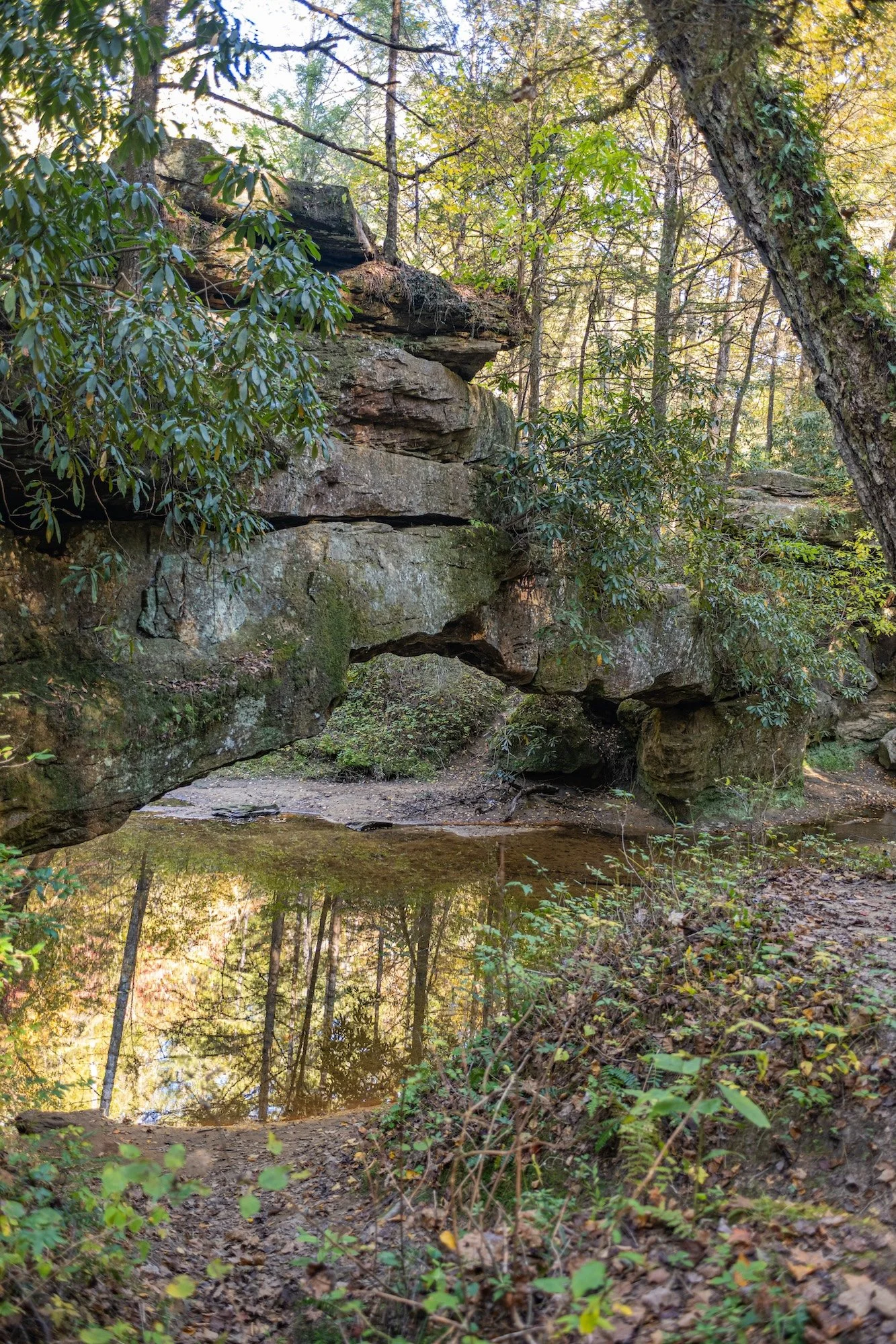DSC_6431.jpg