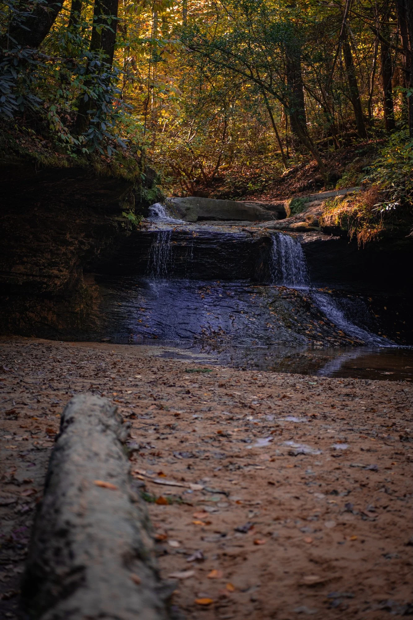 DSC_6445.jpg