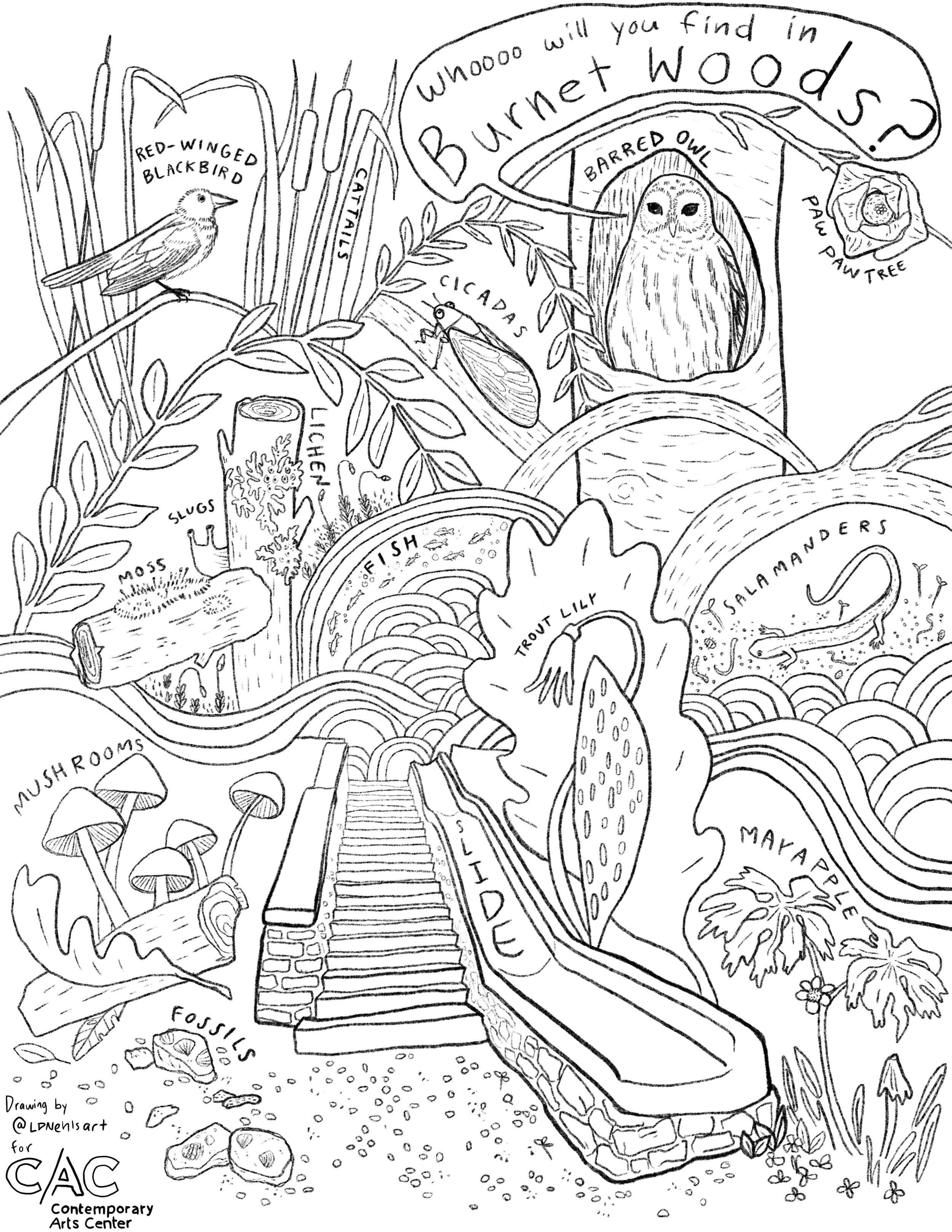 Burnet Woods.jpg