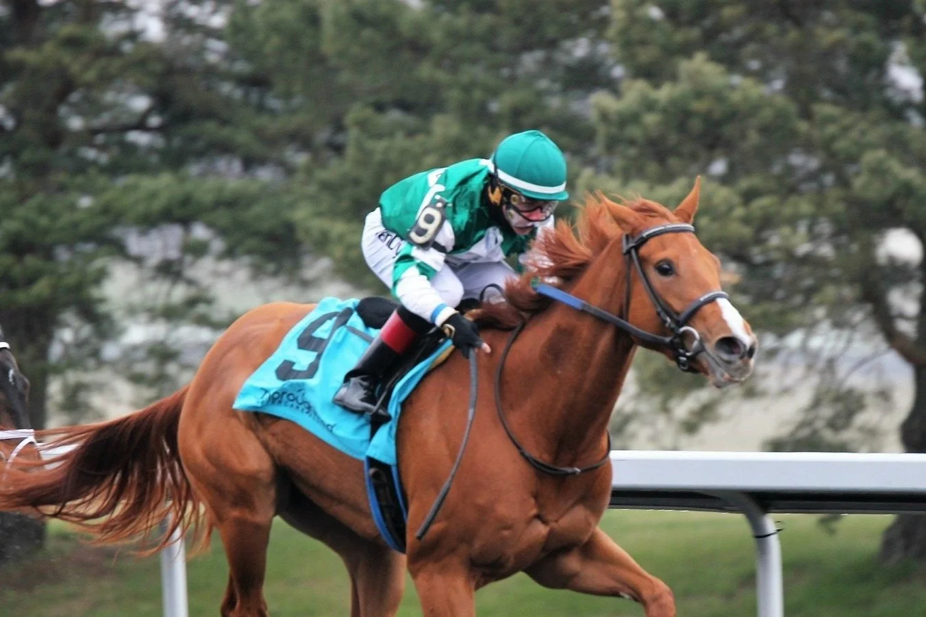 Off to the Races