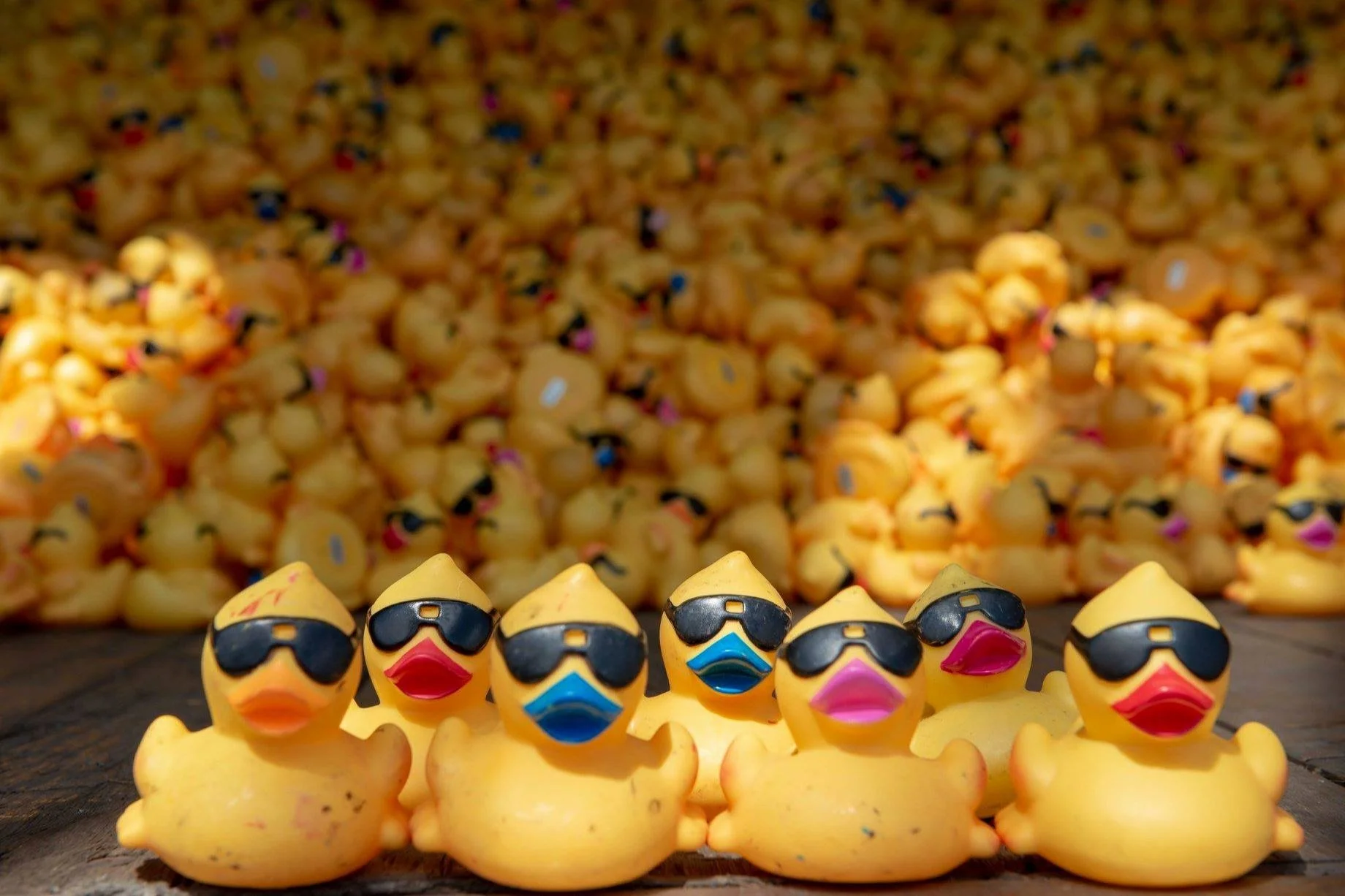 All Duck No or No Dinner