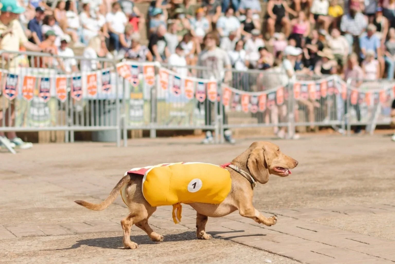 Do Your Wurst