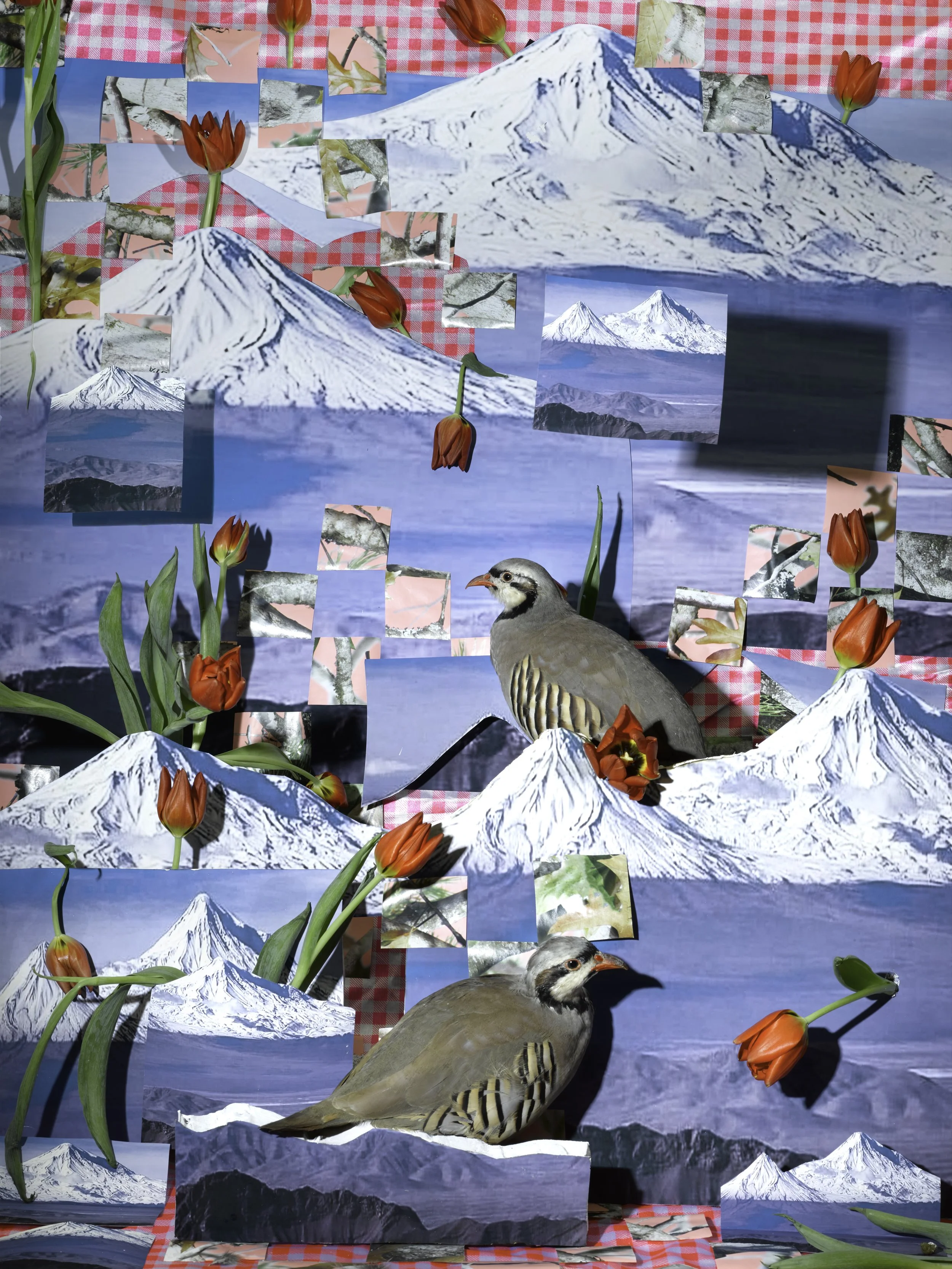  Sheida Soleimani,  What A Revolutionary Must Know , 2022, Archival pigment print, 40 x 30 inches. Image courtesy of the artist, Harlan Levey Projects, Brussels &amp; Edel Assanti, London. 