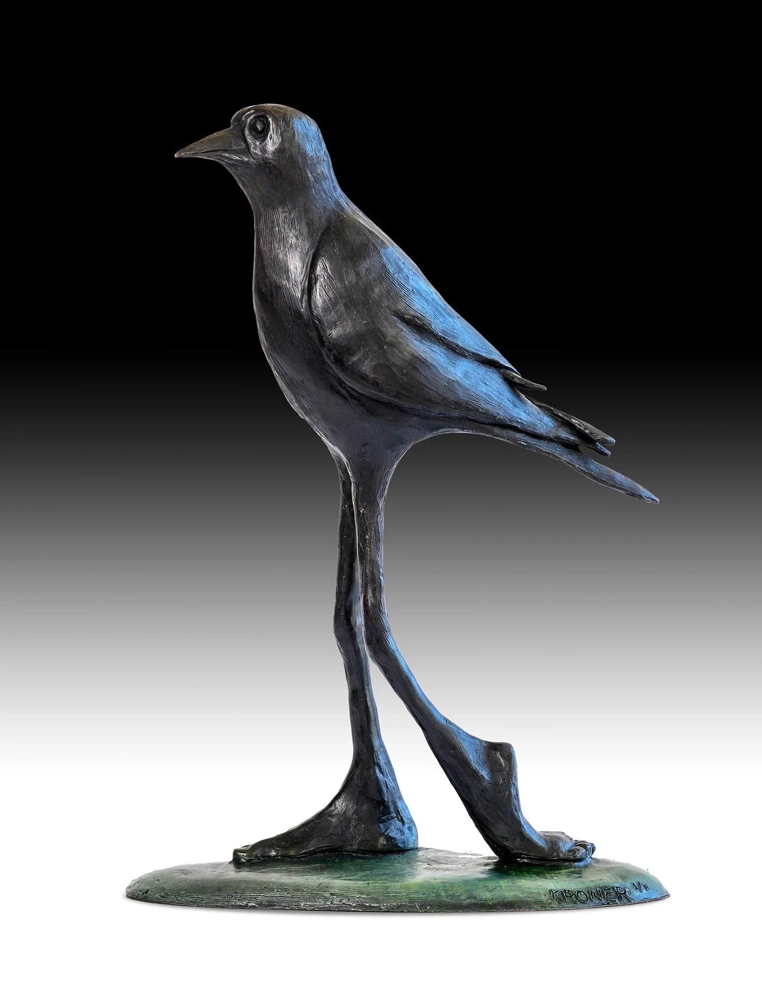 crows.jpeg