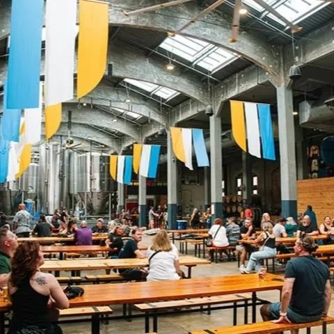 New Around Beer