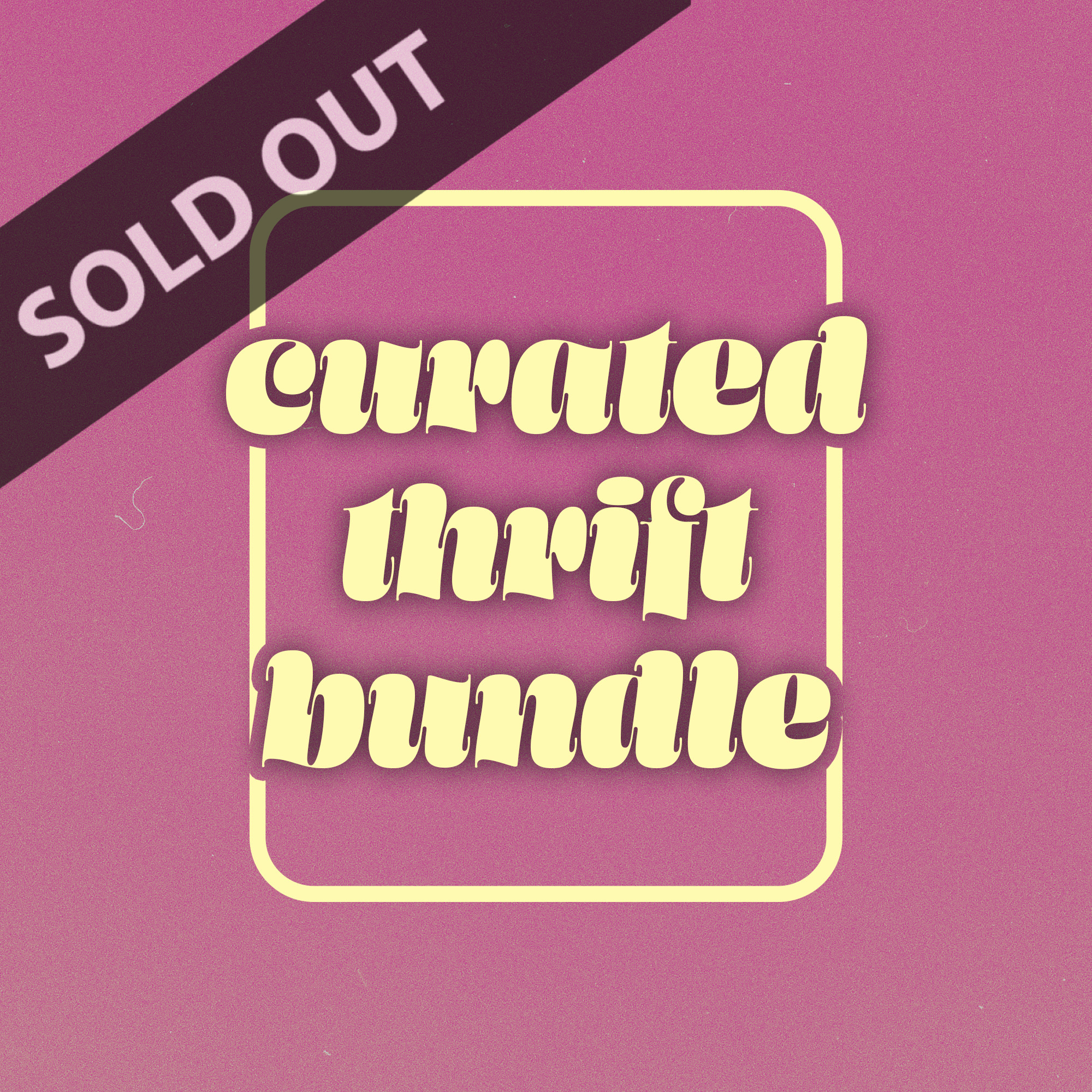 curated thrift bundle + style video (8pc)