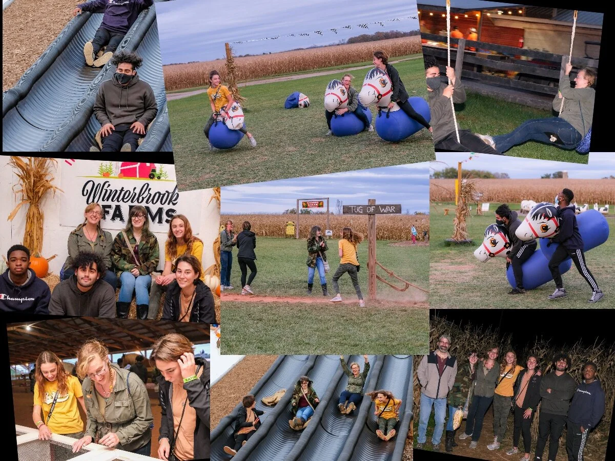collage.jpg