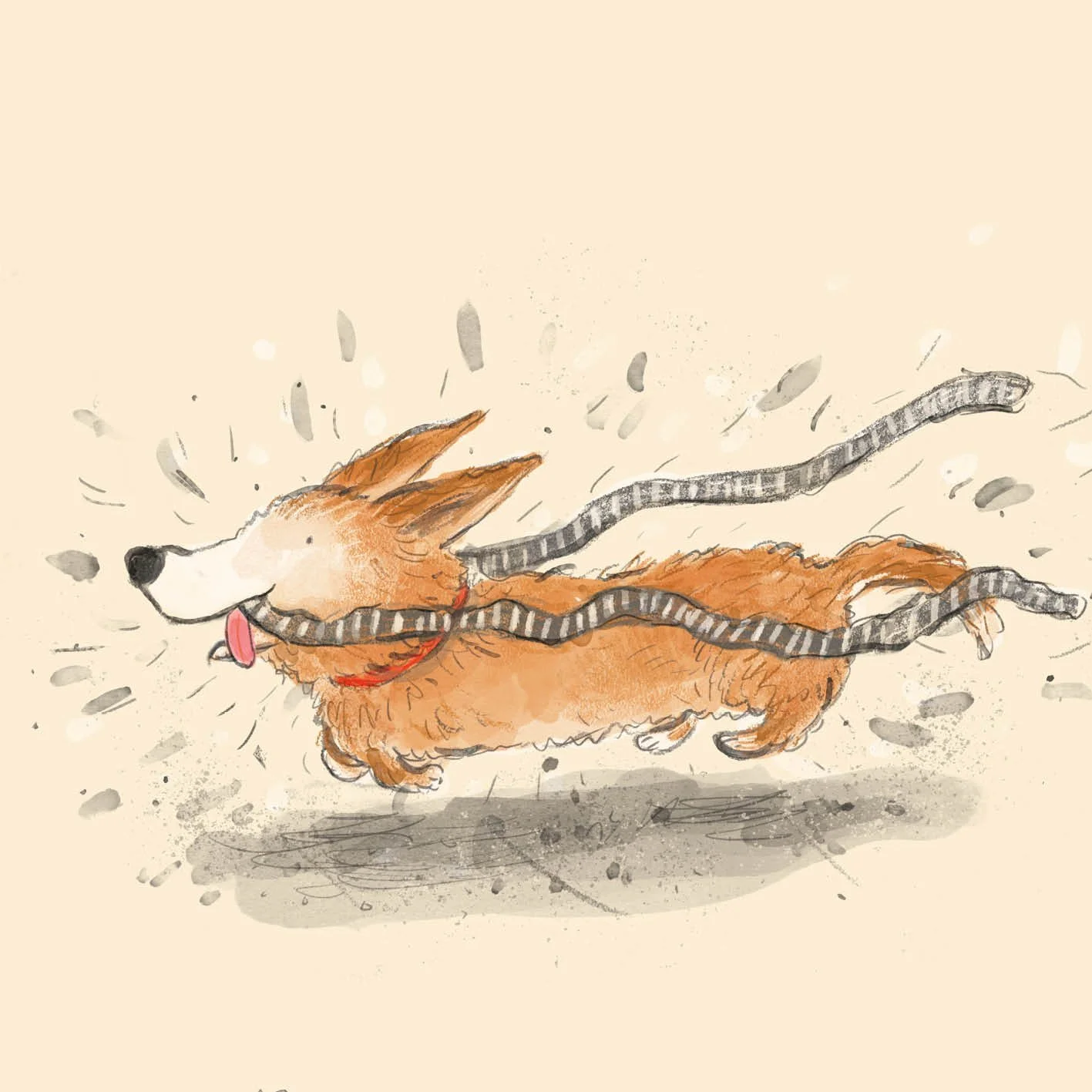 dog2.jpg