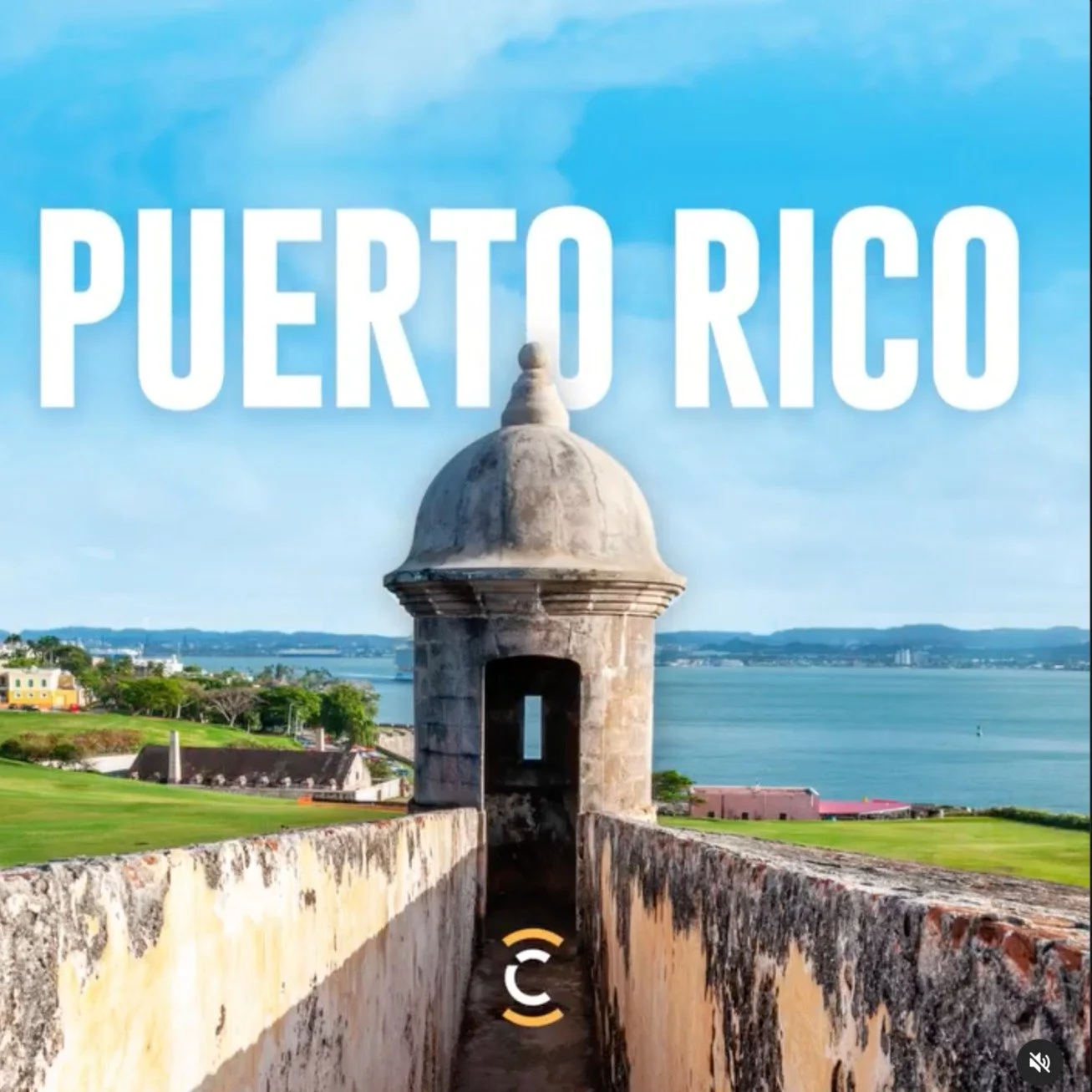 Screen Shot 2023-07-17 at 4.26_edited.jpg