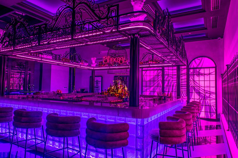 THE BIRDCAGE