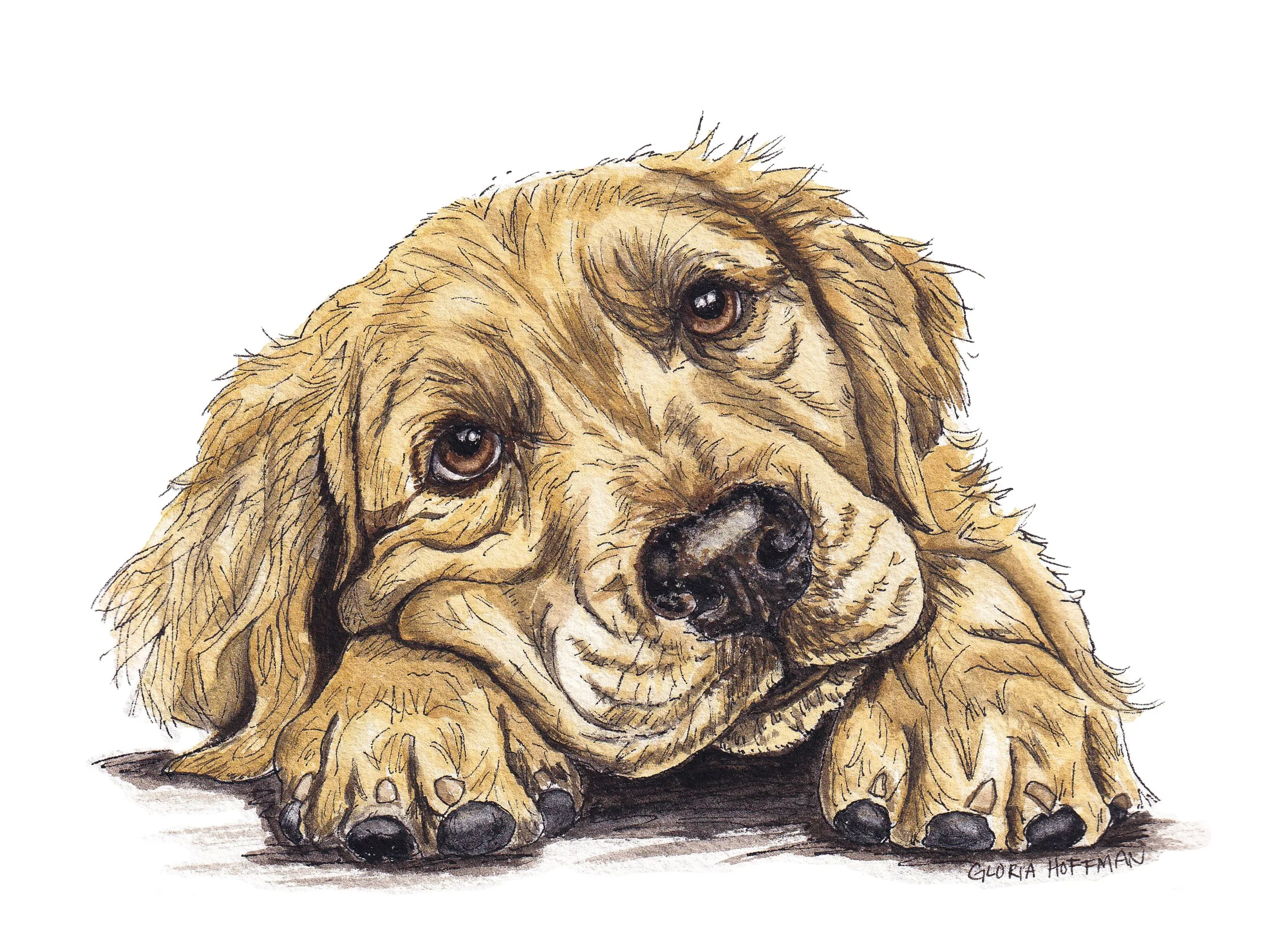 Original Watercolor Print of a sweet Golden Retriever