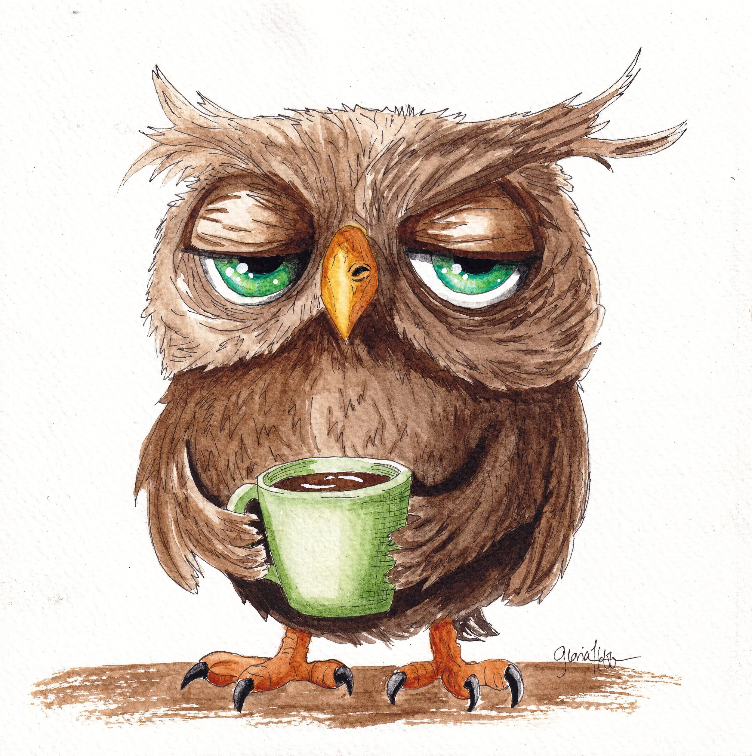 grumpy owl_260502110708.jpg