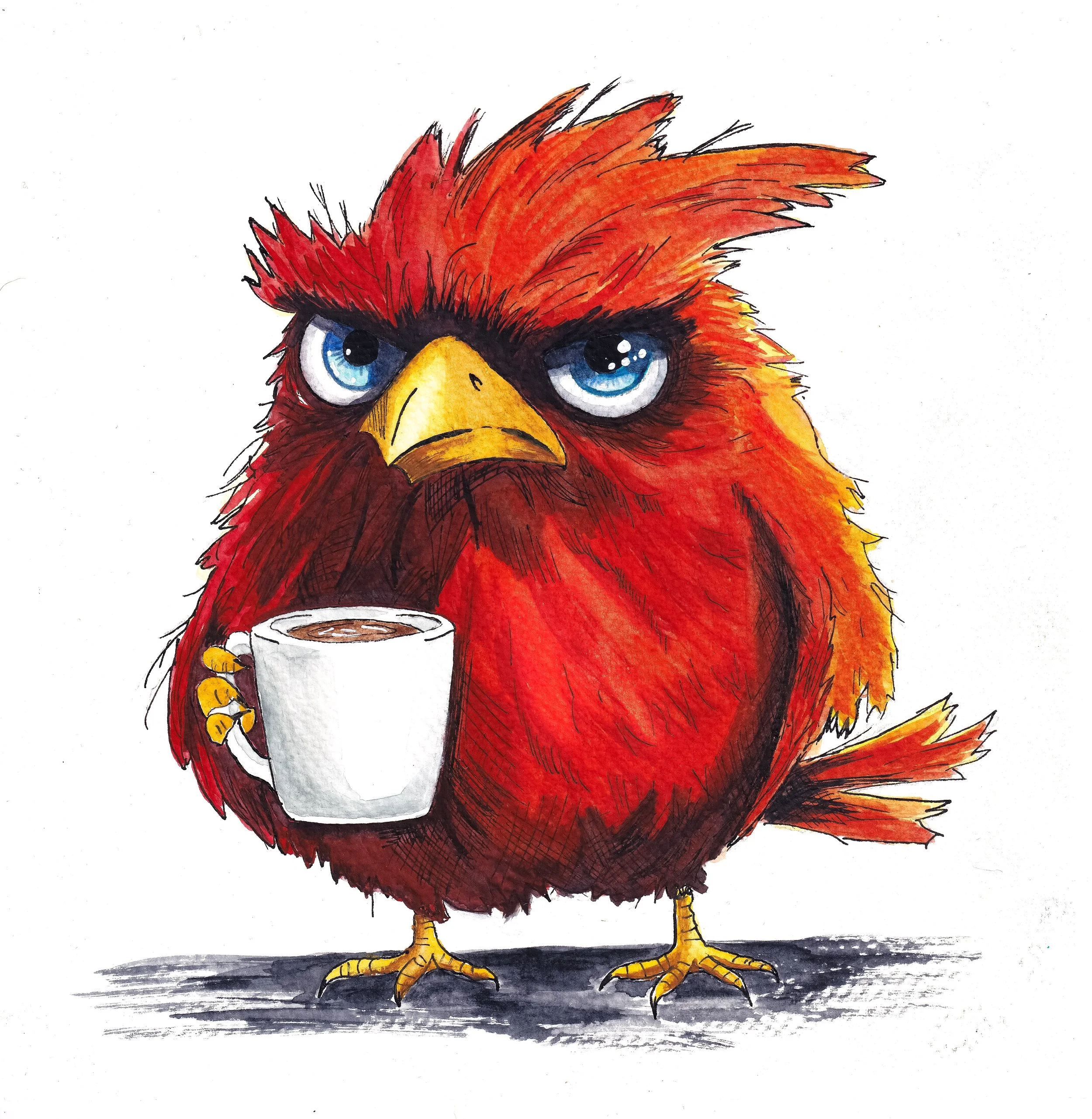 Original Watercolor Print of a Grumpy Cardinal Drinking Coffee