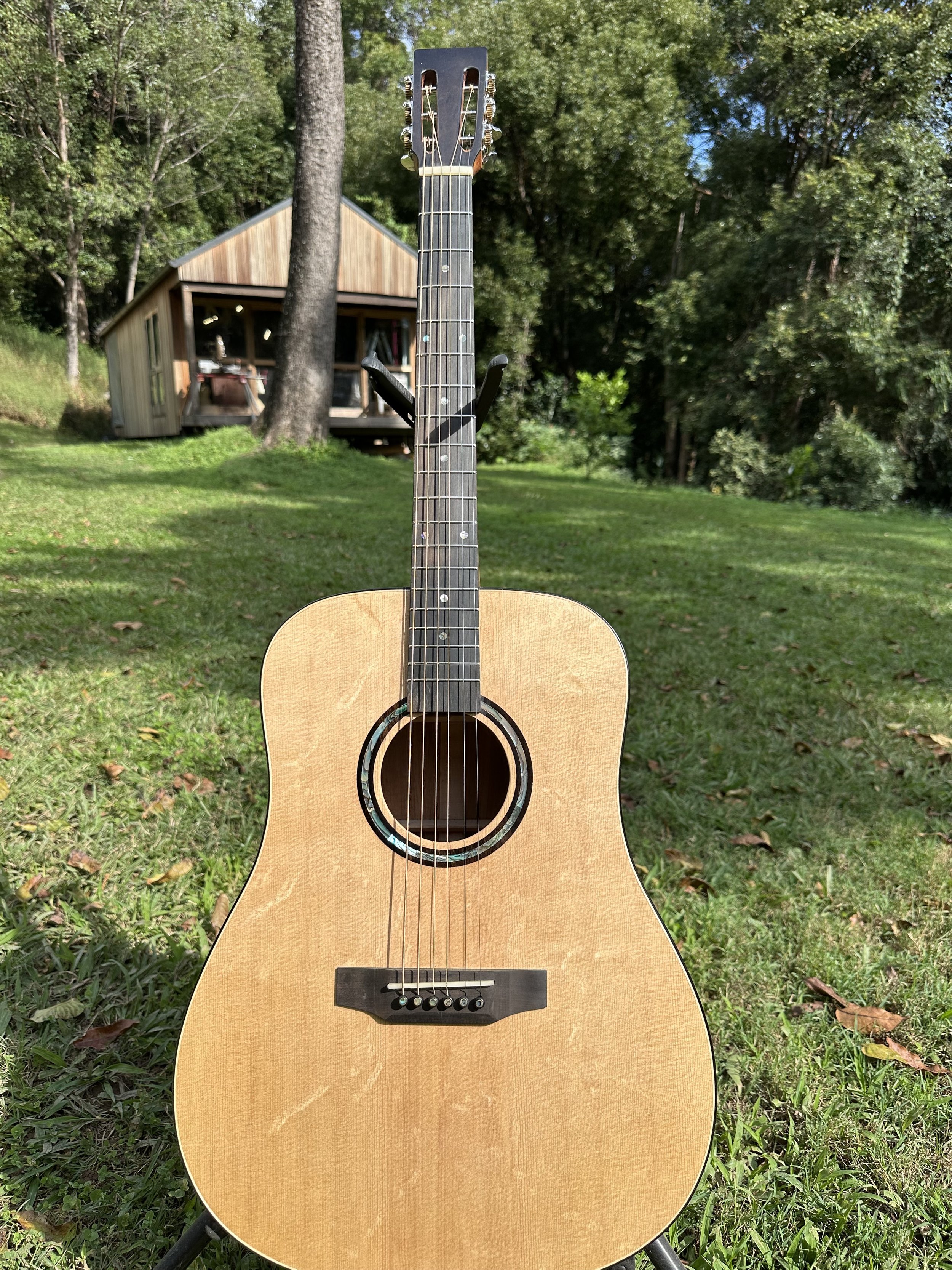 Tasmanian Blackwood Soft Shouldered Dread