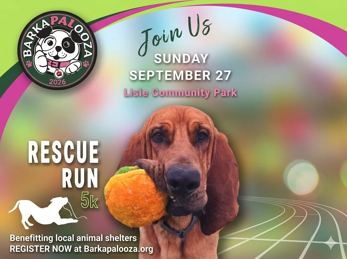 Barkapalooza 2026 promotional image featuring a bloodhound holding a stuffed taco toy for the rescue run at Lisle Community Park on September 27