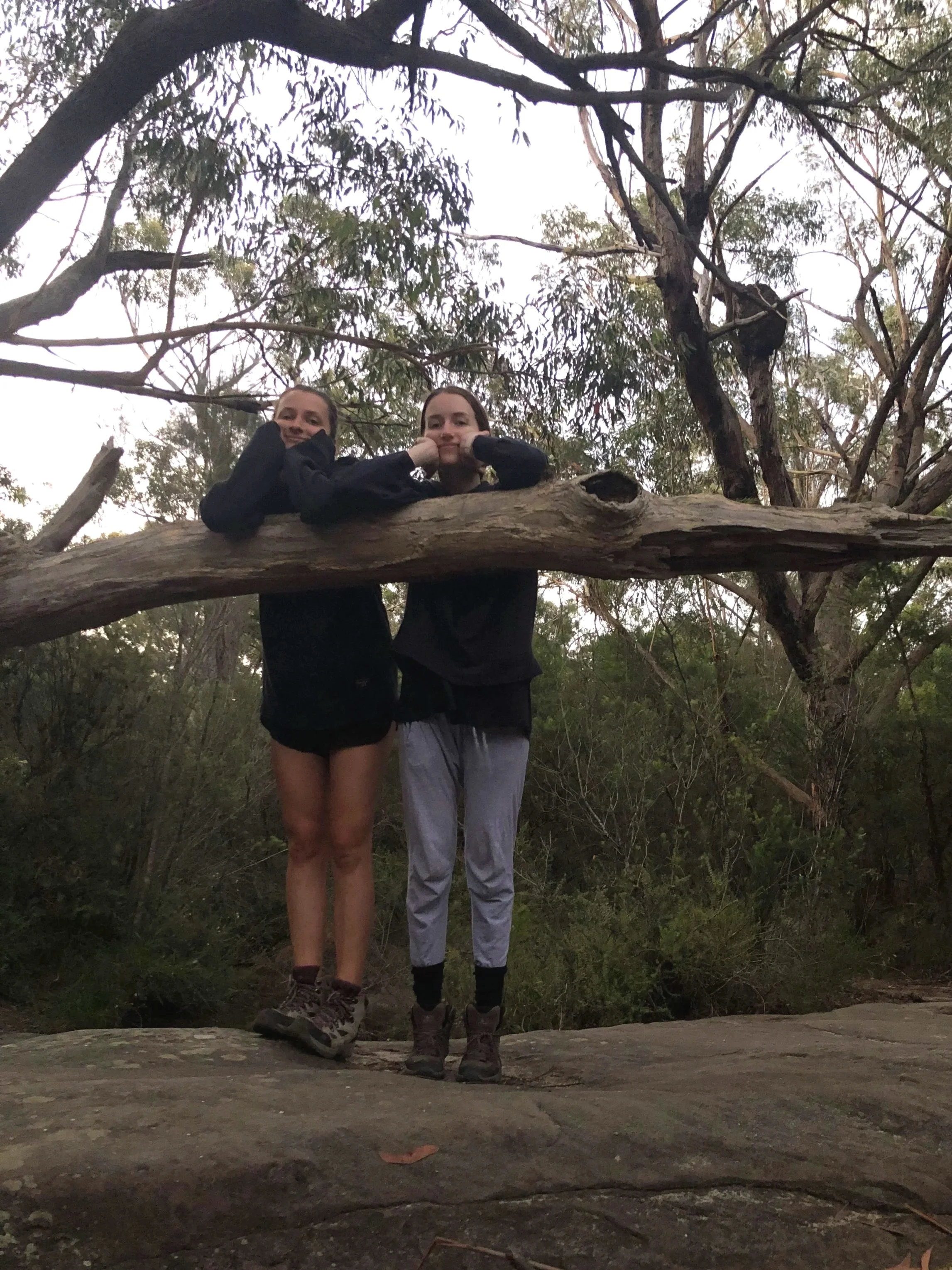 Two women standing in a forest, leaning on a large tree branch with their heads resting on their hands, while their bodies are below the branch. The background shows trees and foliage with an overcast sky.