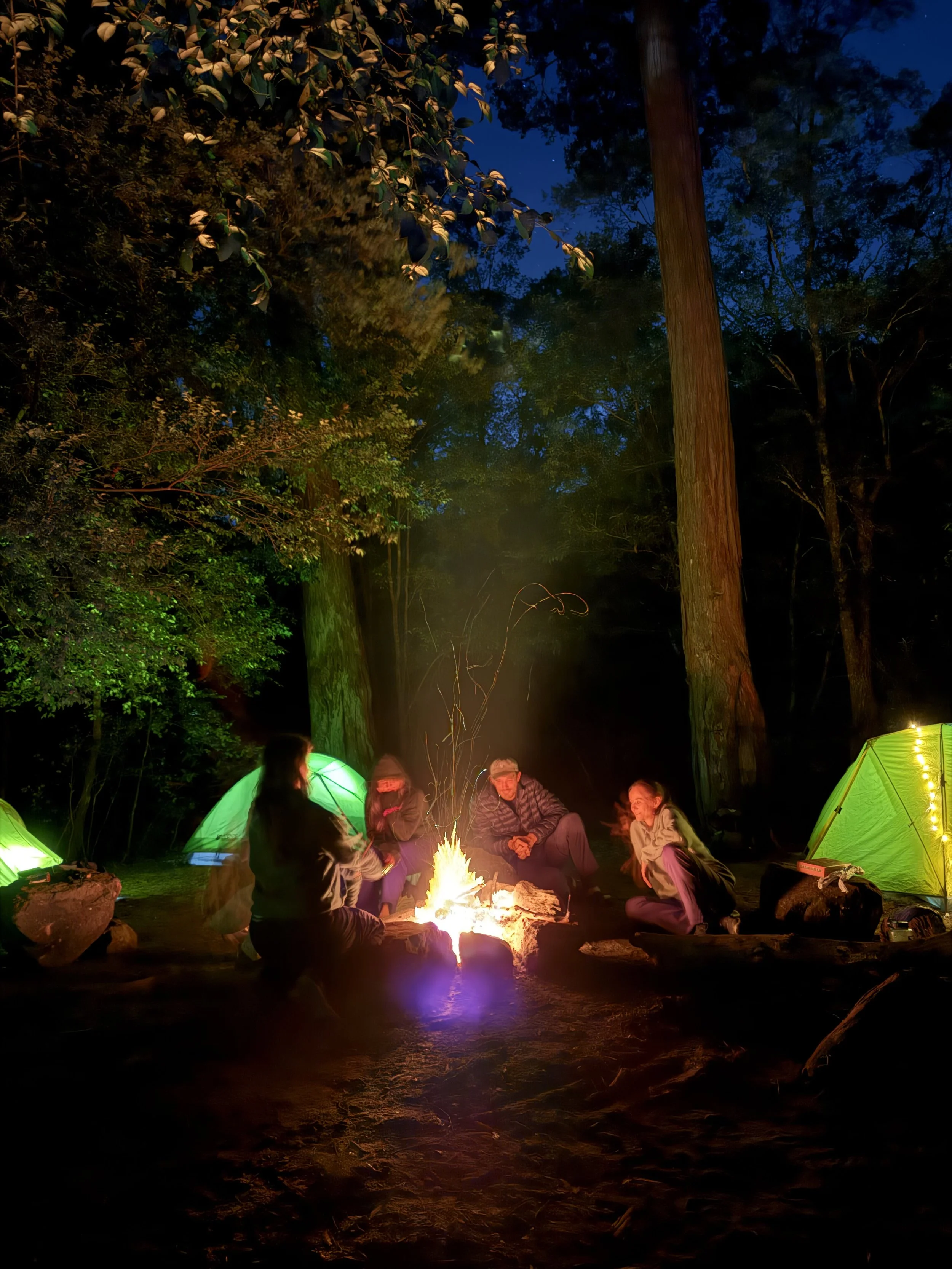 Group of people sitting after a guided overnight hike in the blue mountains NSW around a campfire at night in a forest, surrounded by green tents and tall trees, with a dark blue sky overhead.