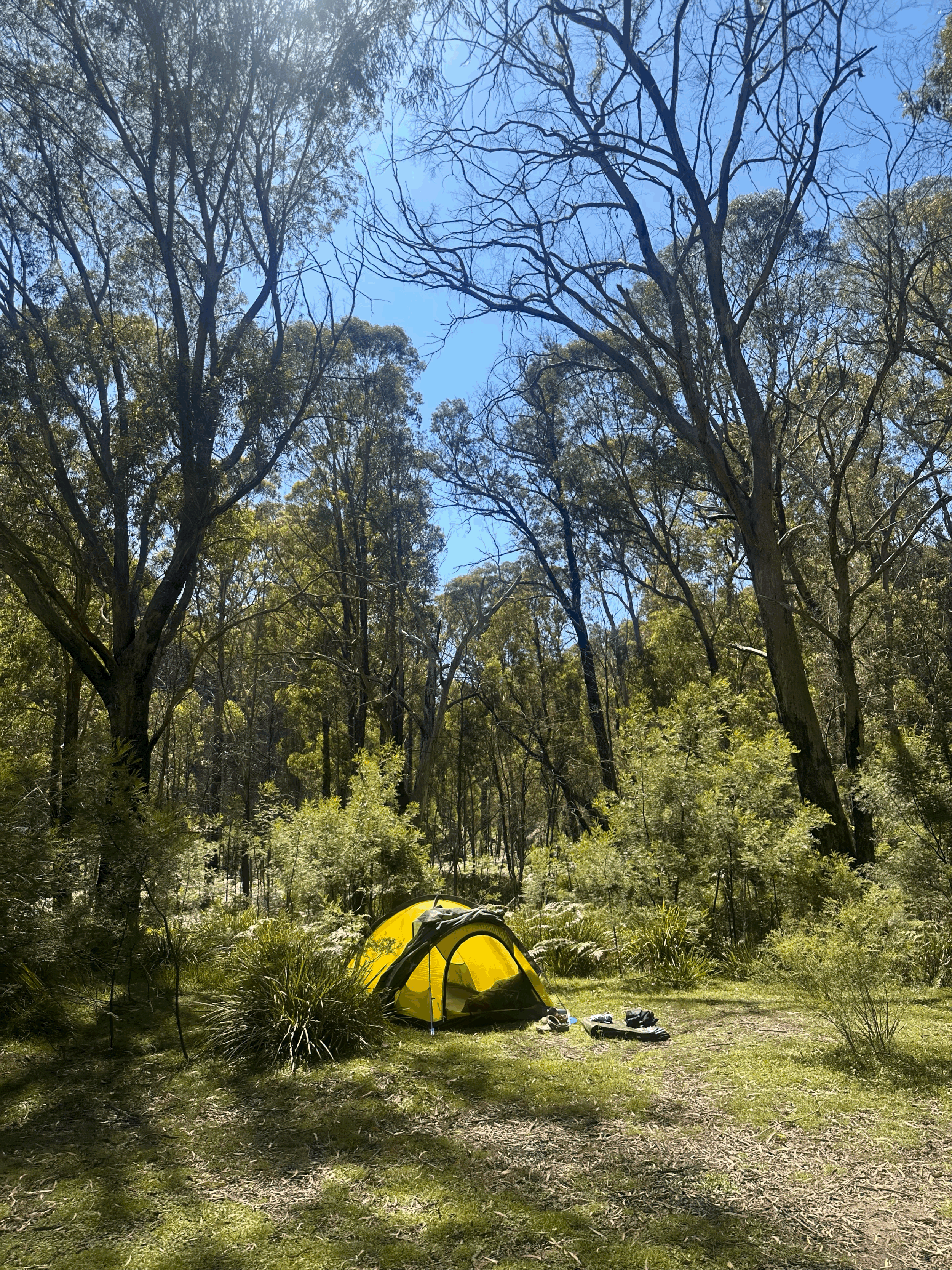 tempImagec7aukF.gif