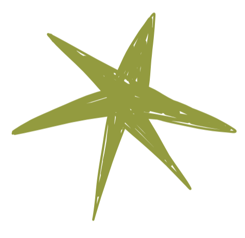 Green star-shaped object with jagged edges on a transparent background.