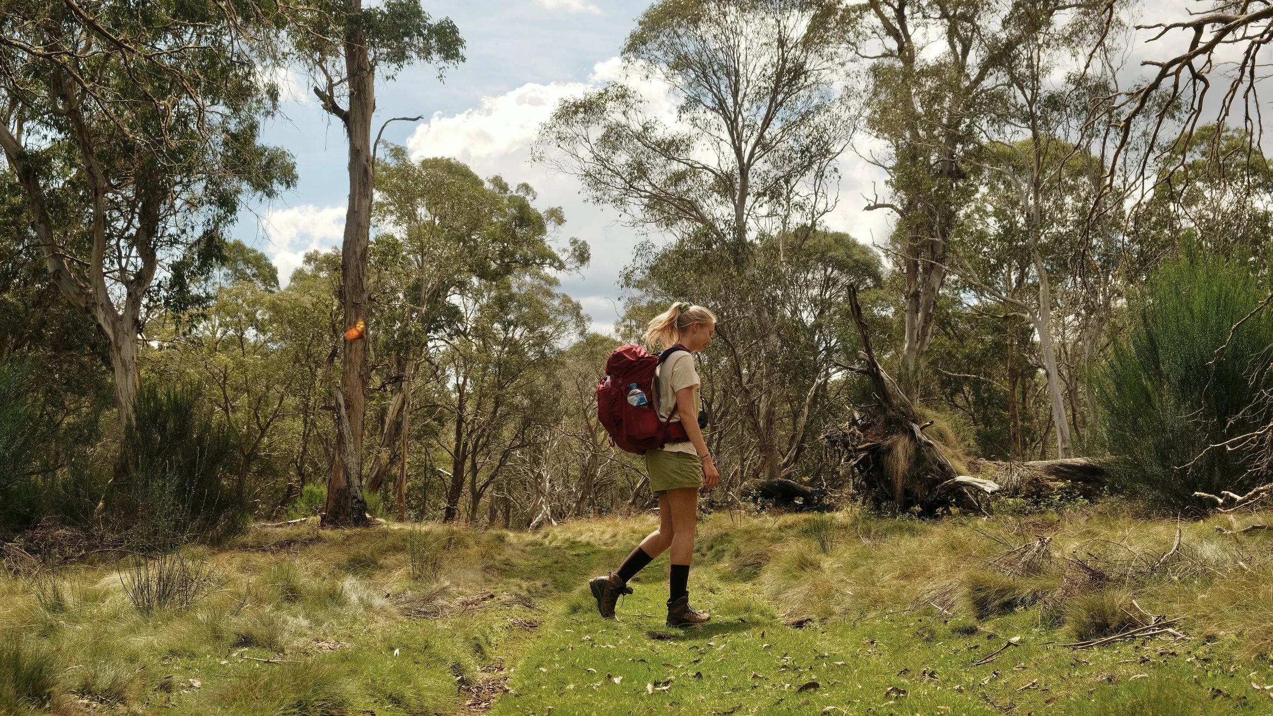 A woman with a red backpack walking through a wooded area with tall trees and grassy ground.