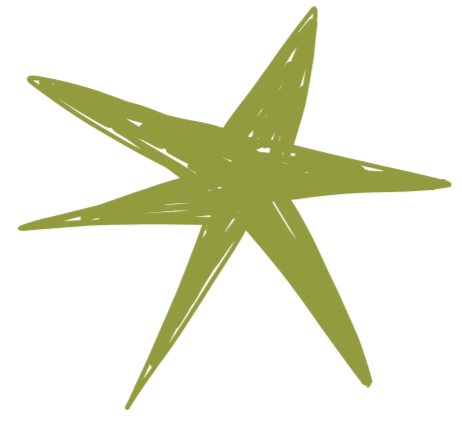 Green star-shaped sea creature with five elongated points, resembling a starfish.