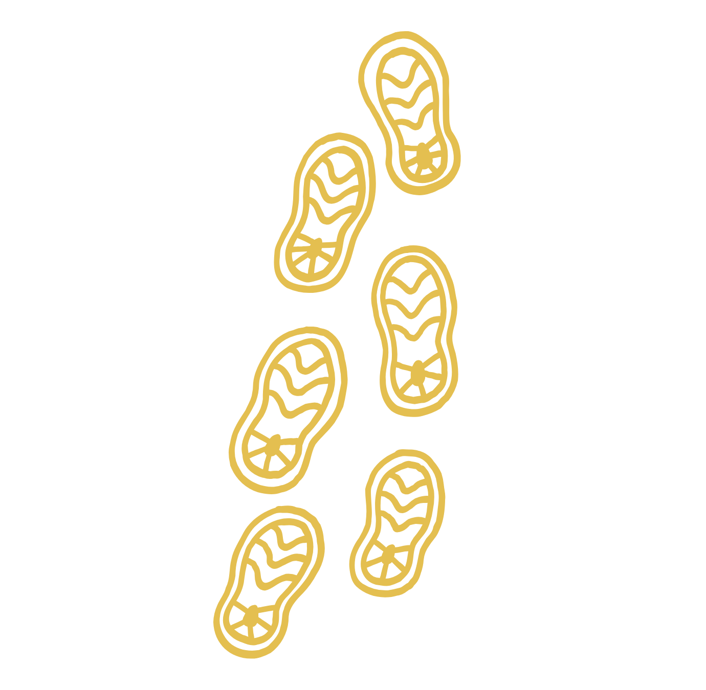 Illustration of seven yellow bacteria with a wavy internal structure on a black background.