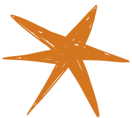 A stylized orange starfish with five arms on a black background.