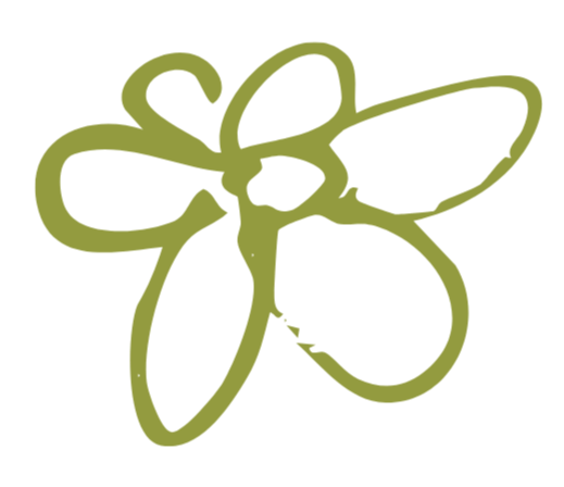 Green outline of a butterfly in a minimalist style.