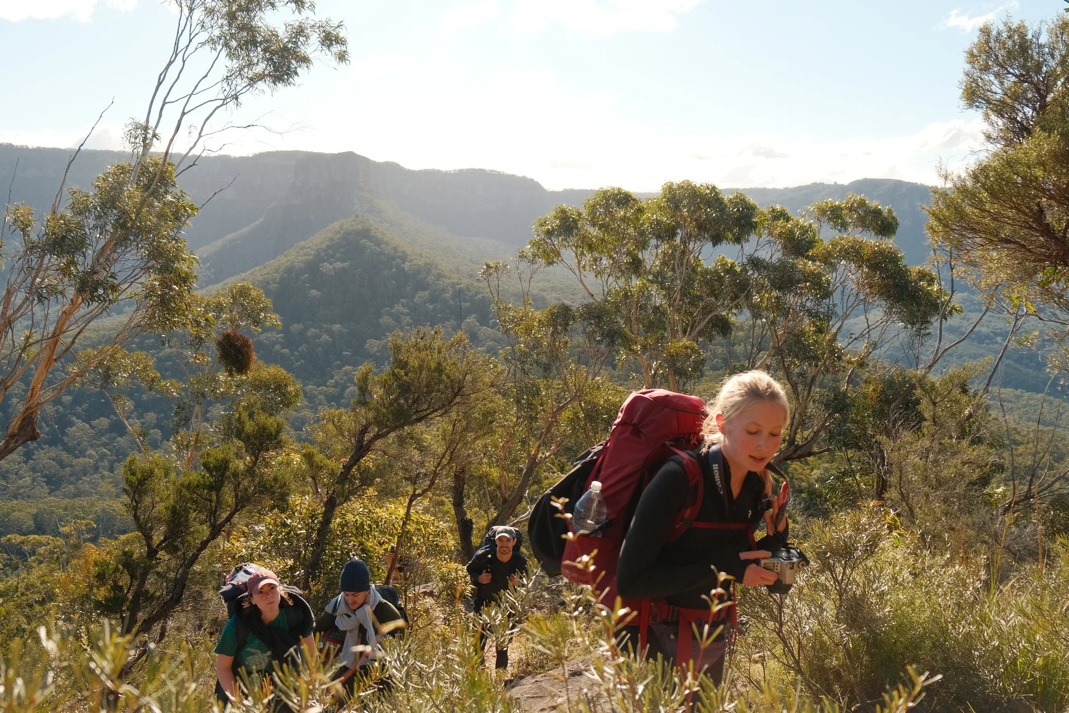 Hikers walking along a trail in a mountainous forested landscape during daytime, with some carrying backpacks and water bottles. On a guided overnight hike to Mount Solitary Blue Mountains