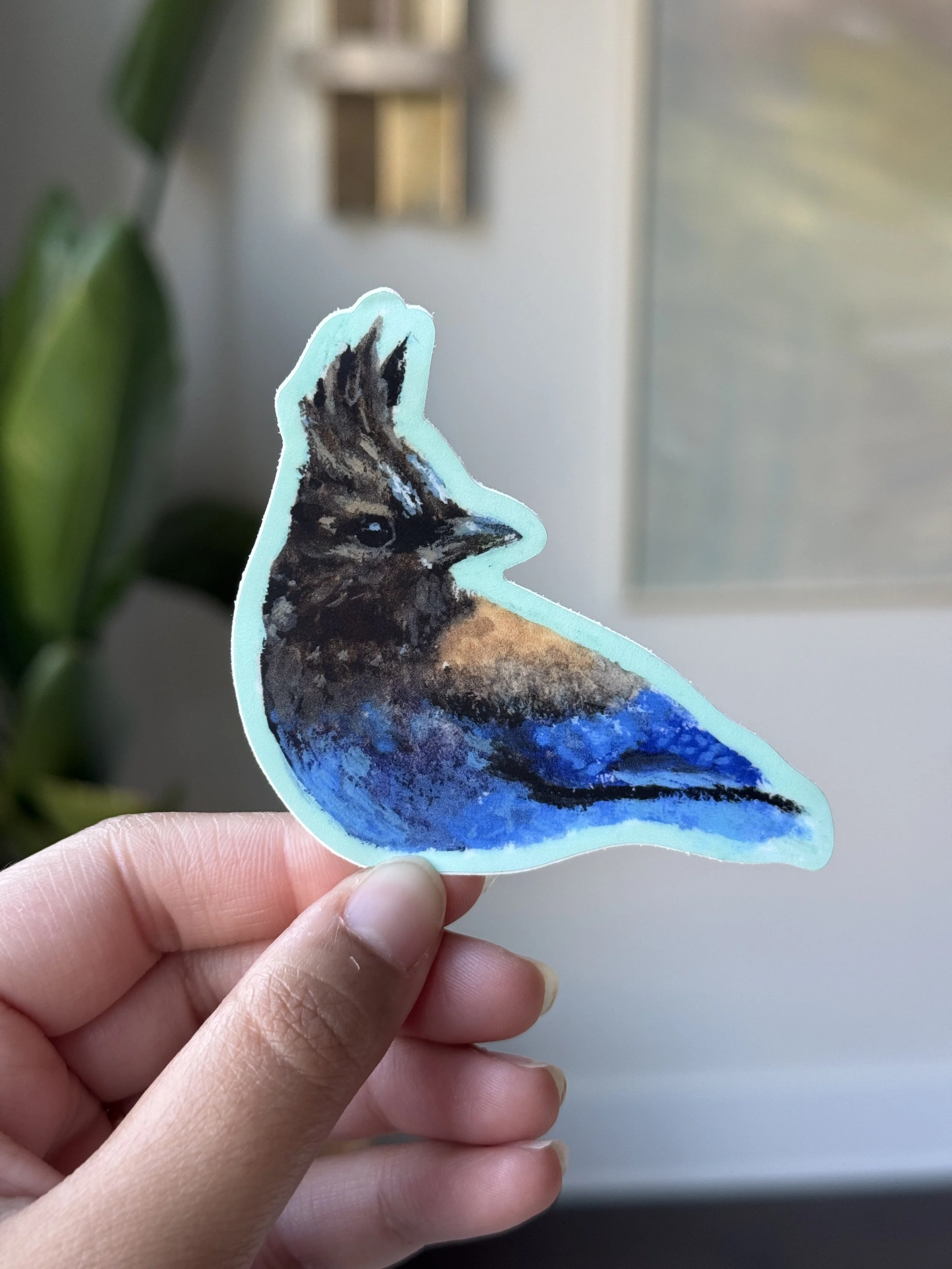 Steller's Jay Sticker