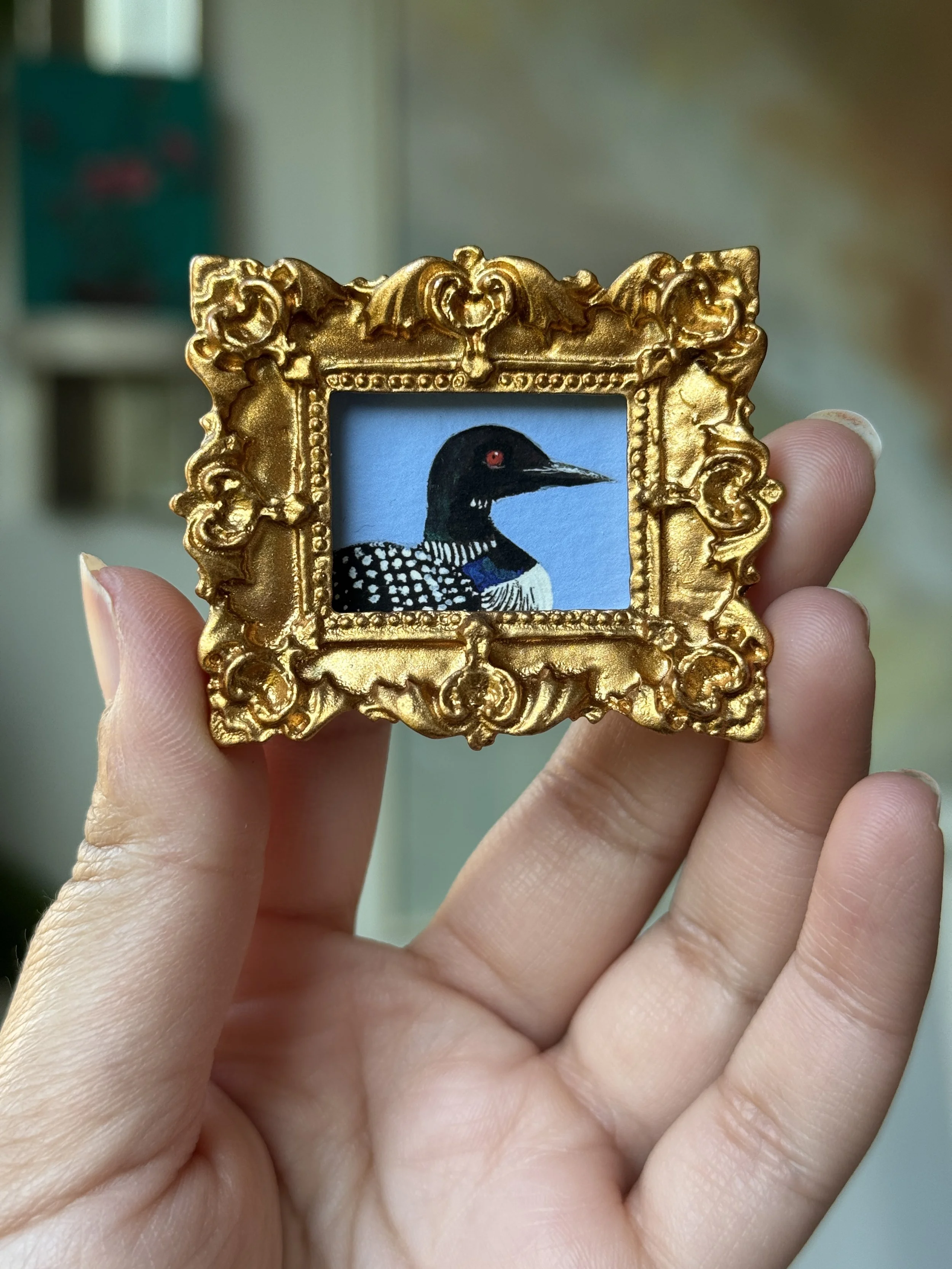 Loon Framed PRINT