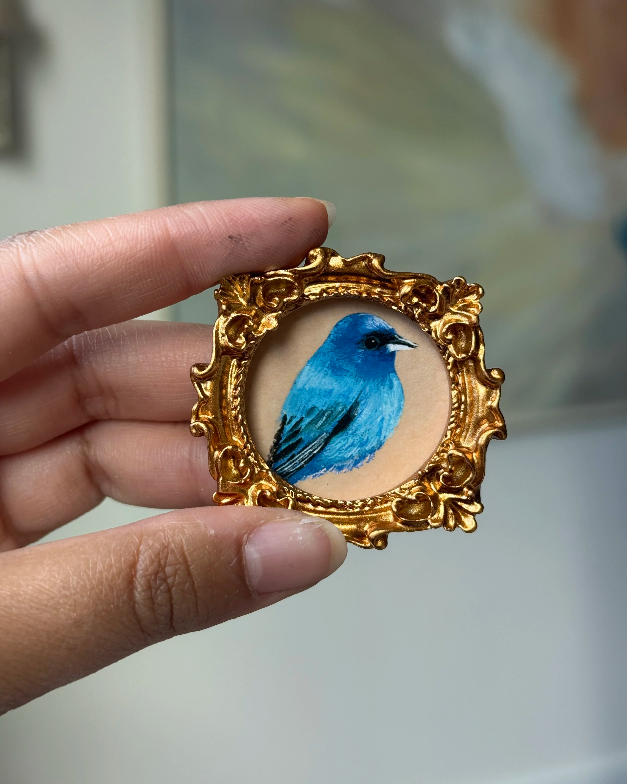 Indigo Bunting Framed Print
