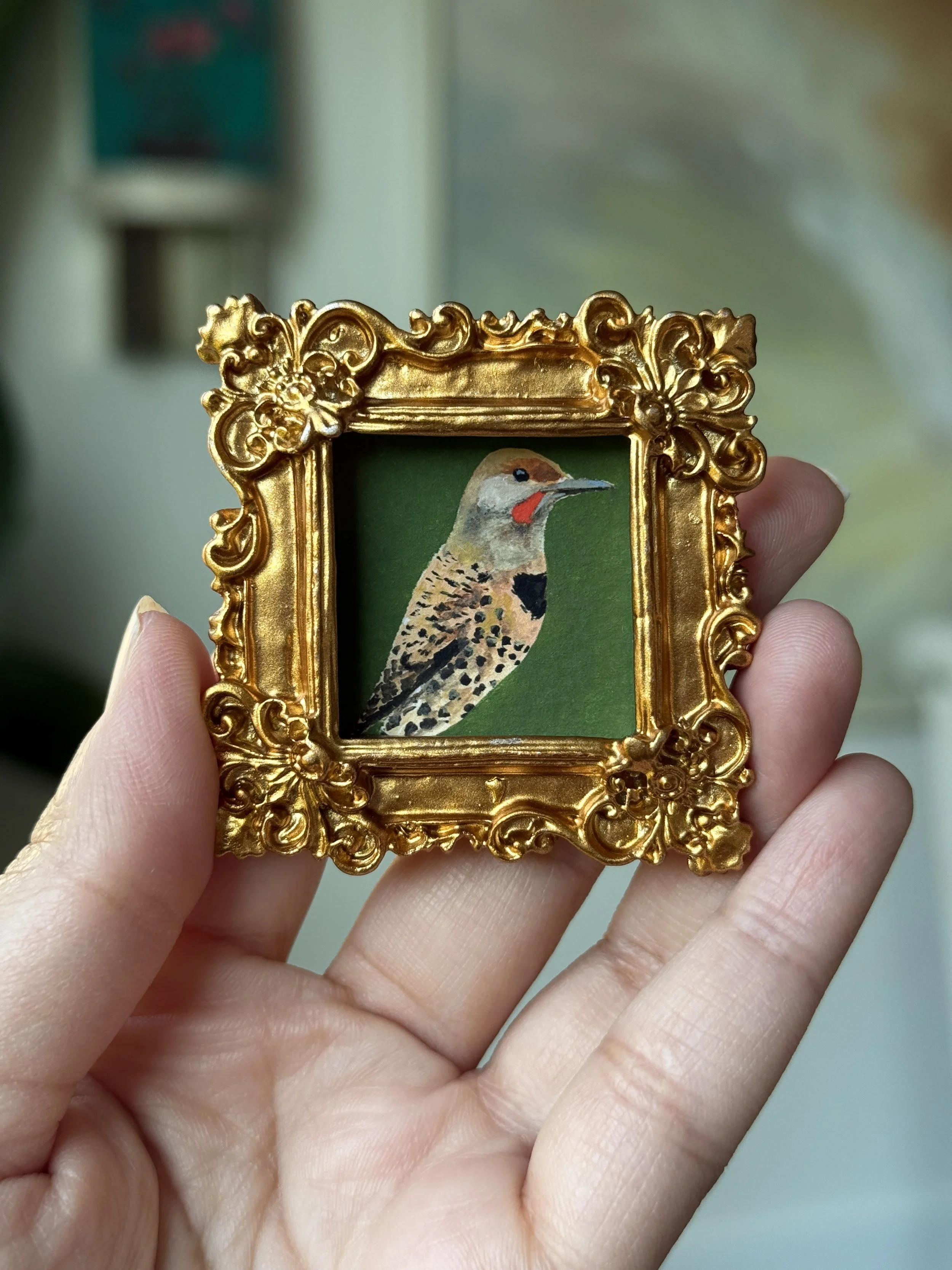 Northern Flicker Framed PRINT