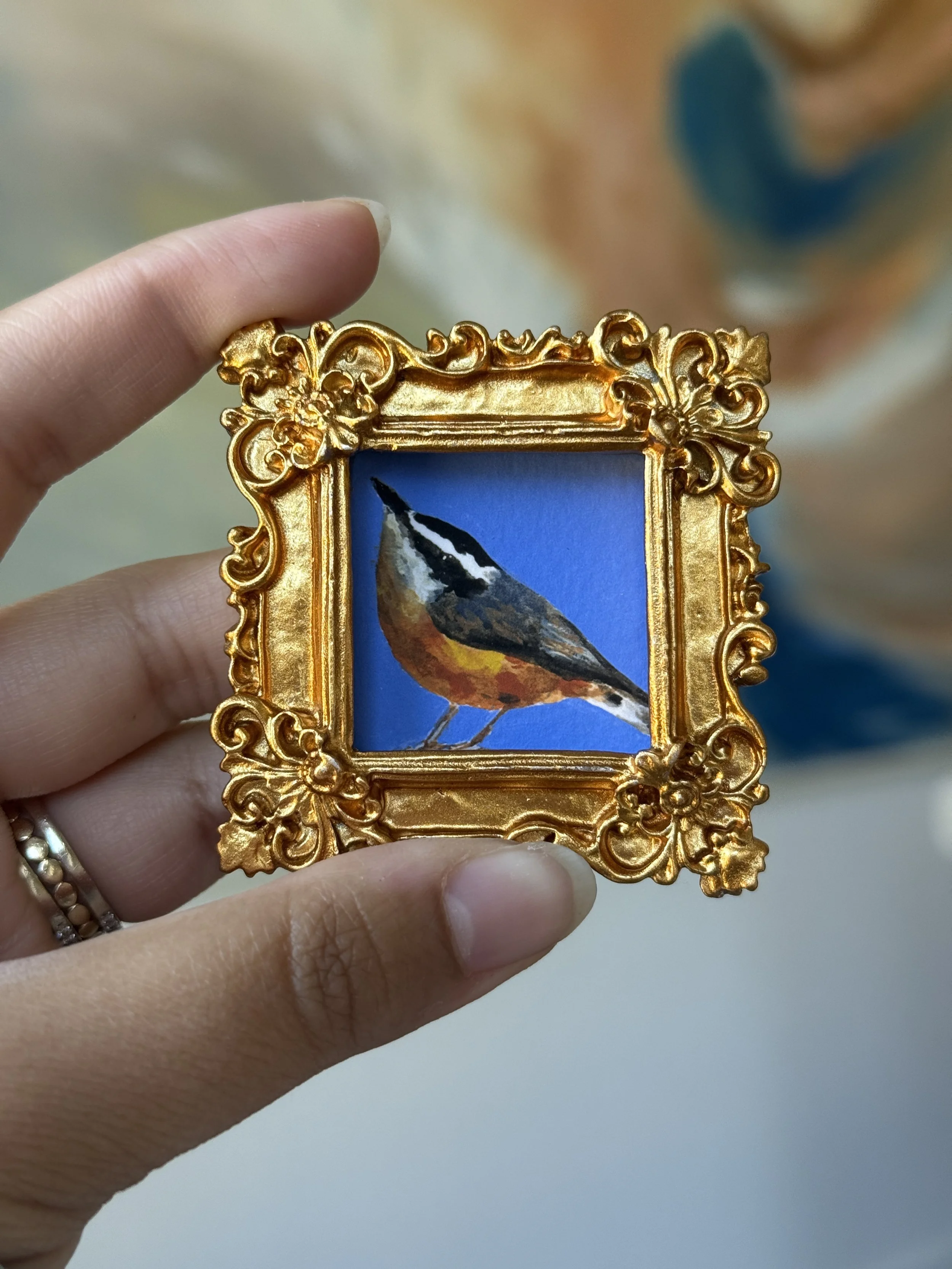Red-Breasted Nuthatch Framed Print