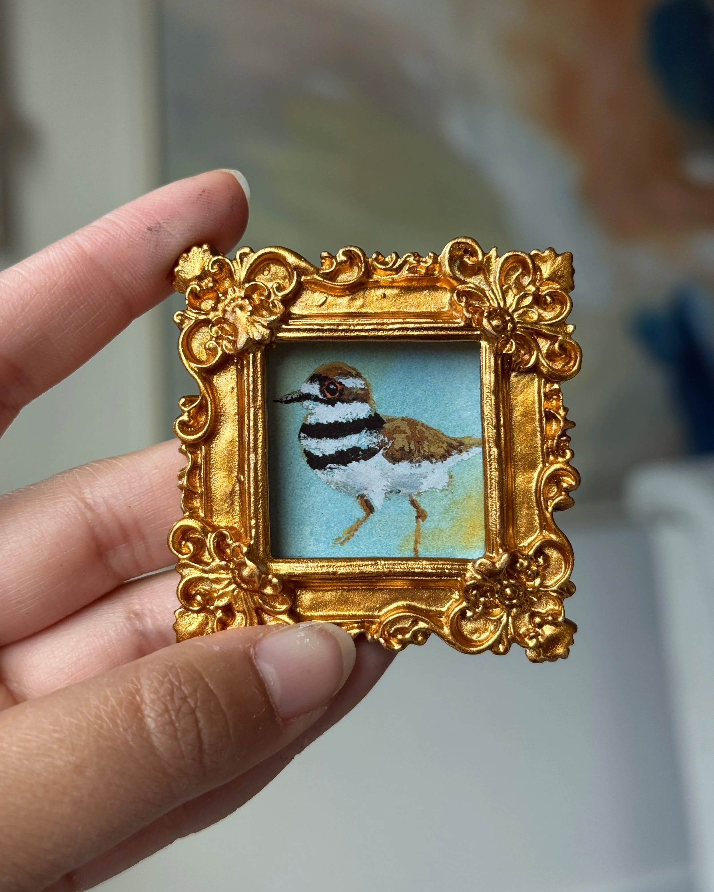 Tiny Killdeer Framed Print