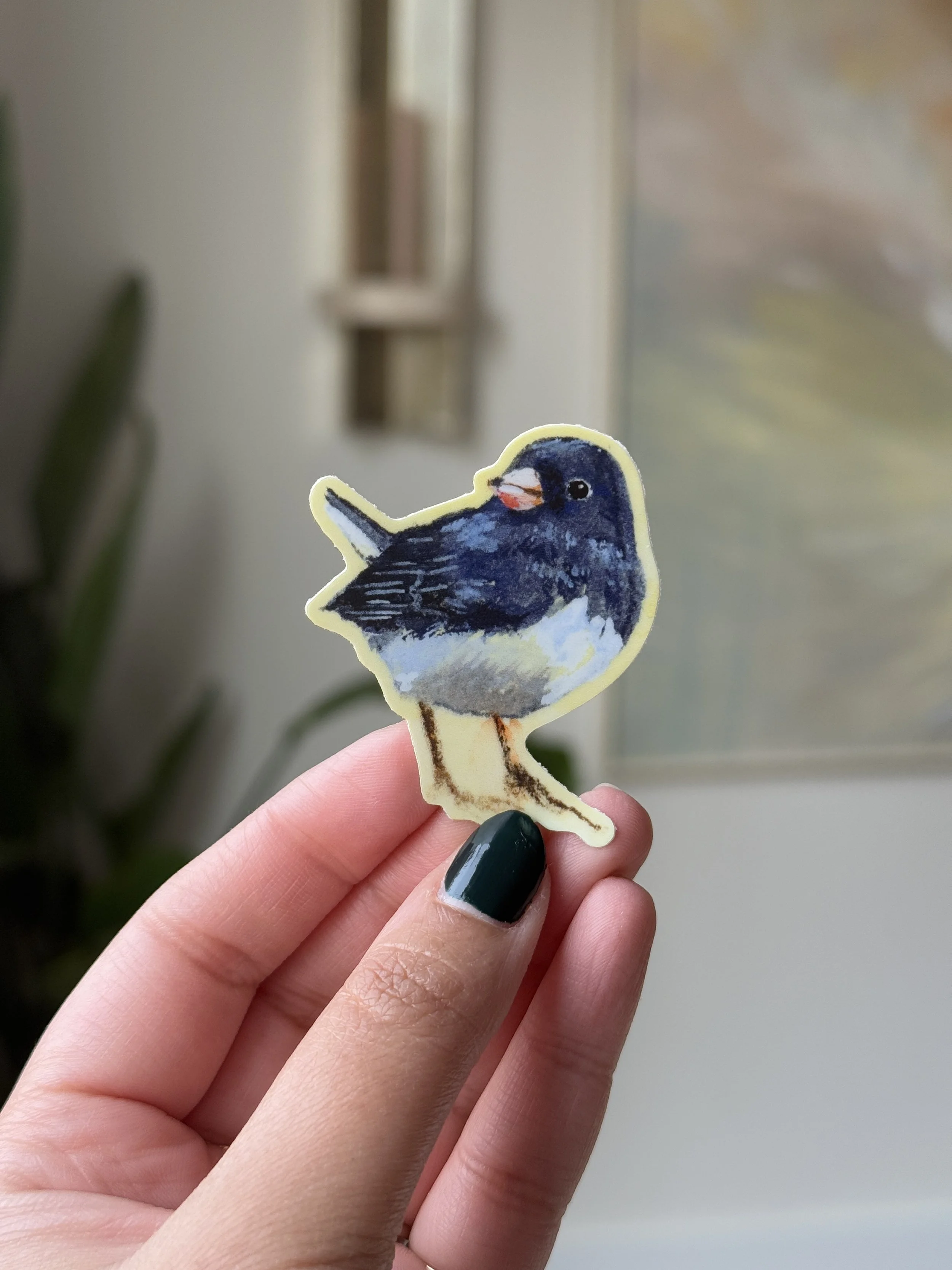 Junco Sticker