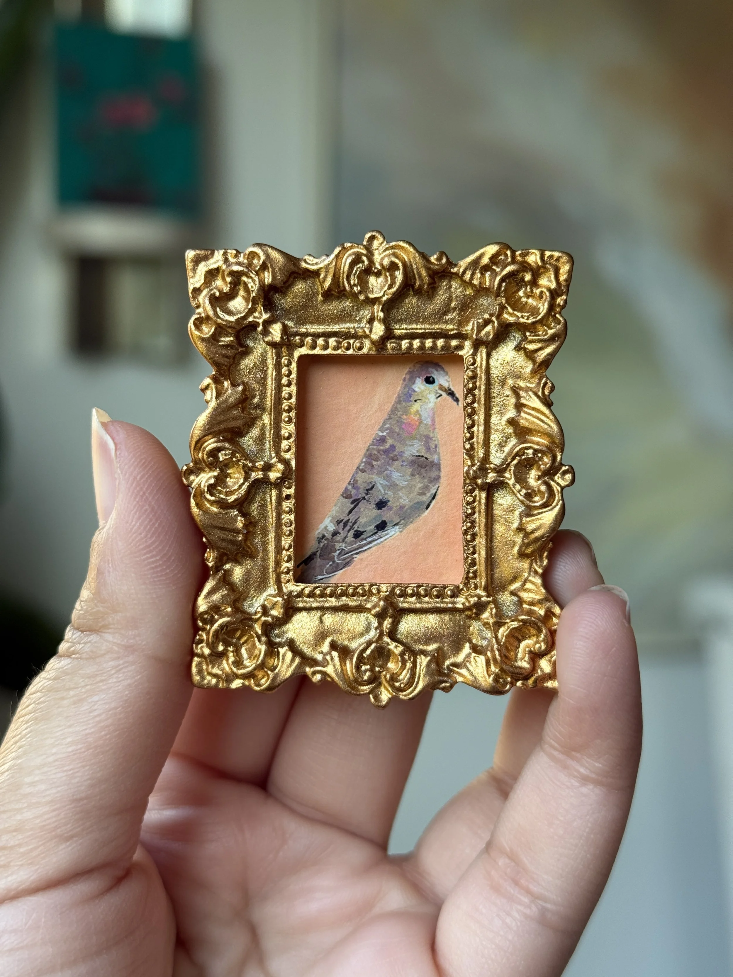 Mourning Dove Framed PRINT