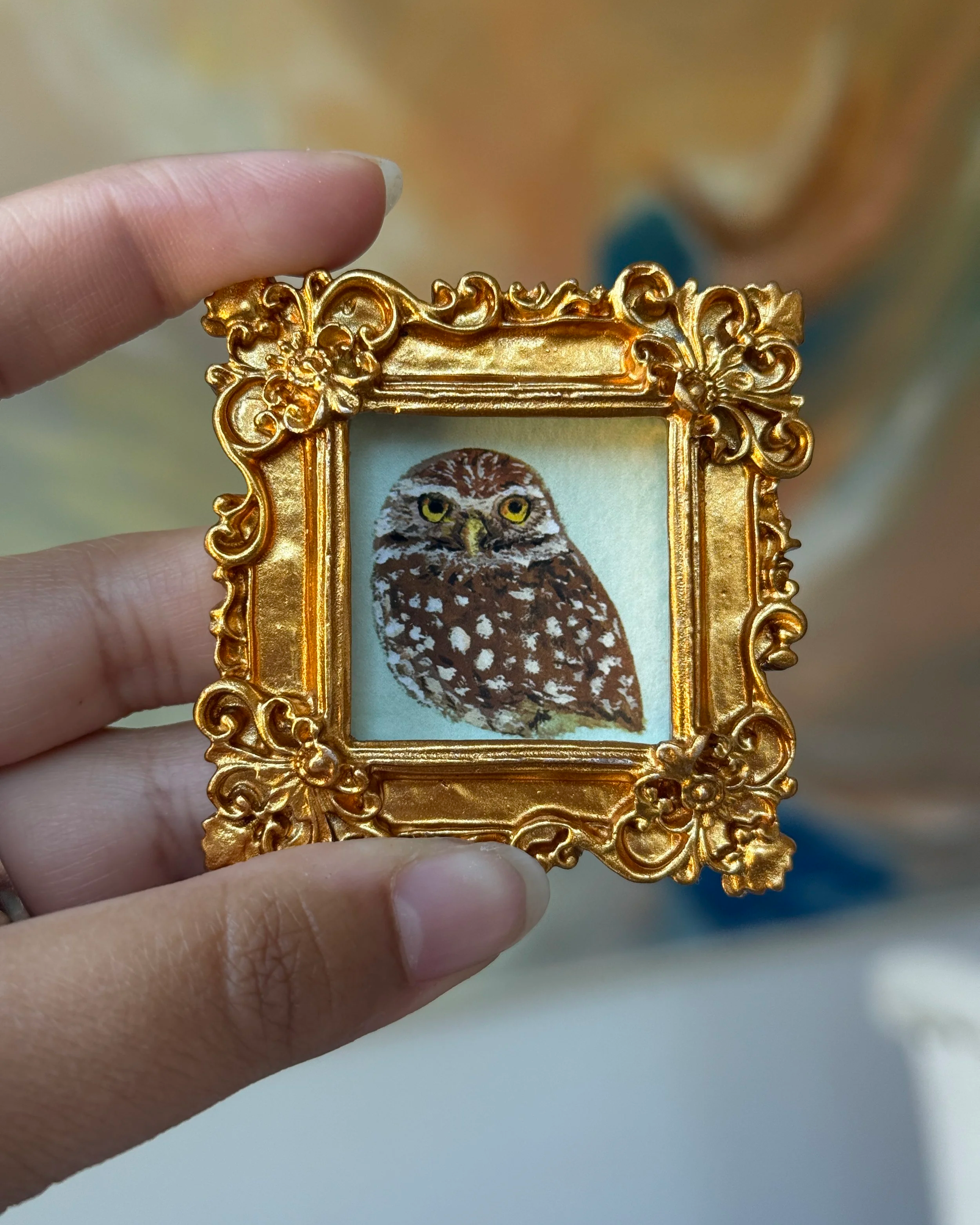 Burrowing Owl Framed Print